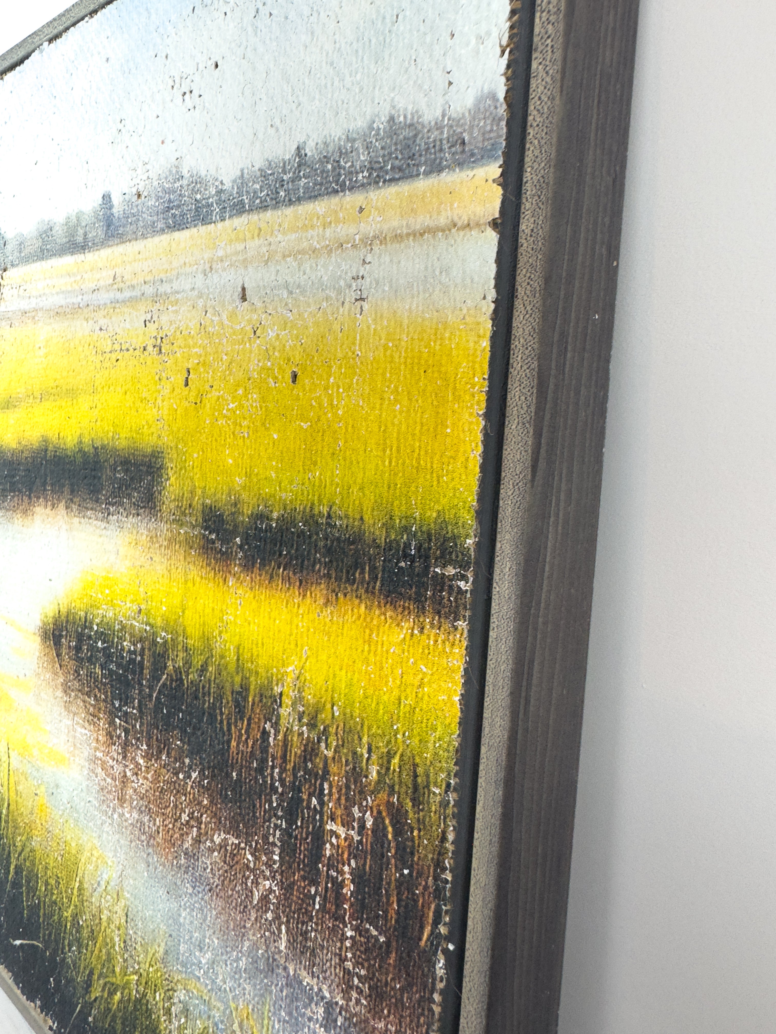 The Magic of the Marsh