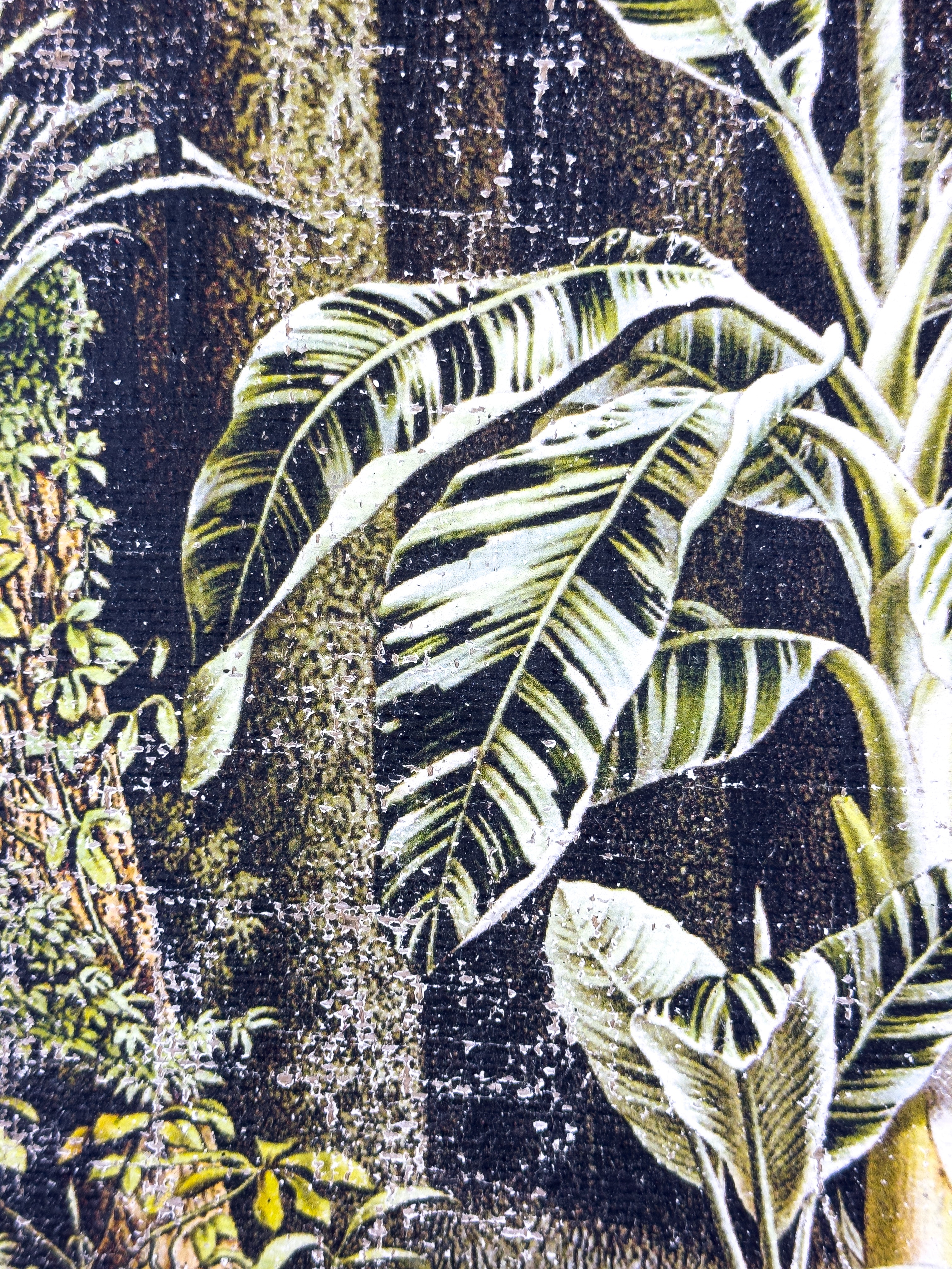 In the Shade of Green