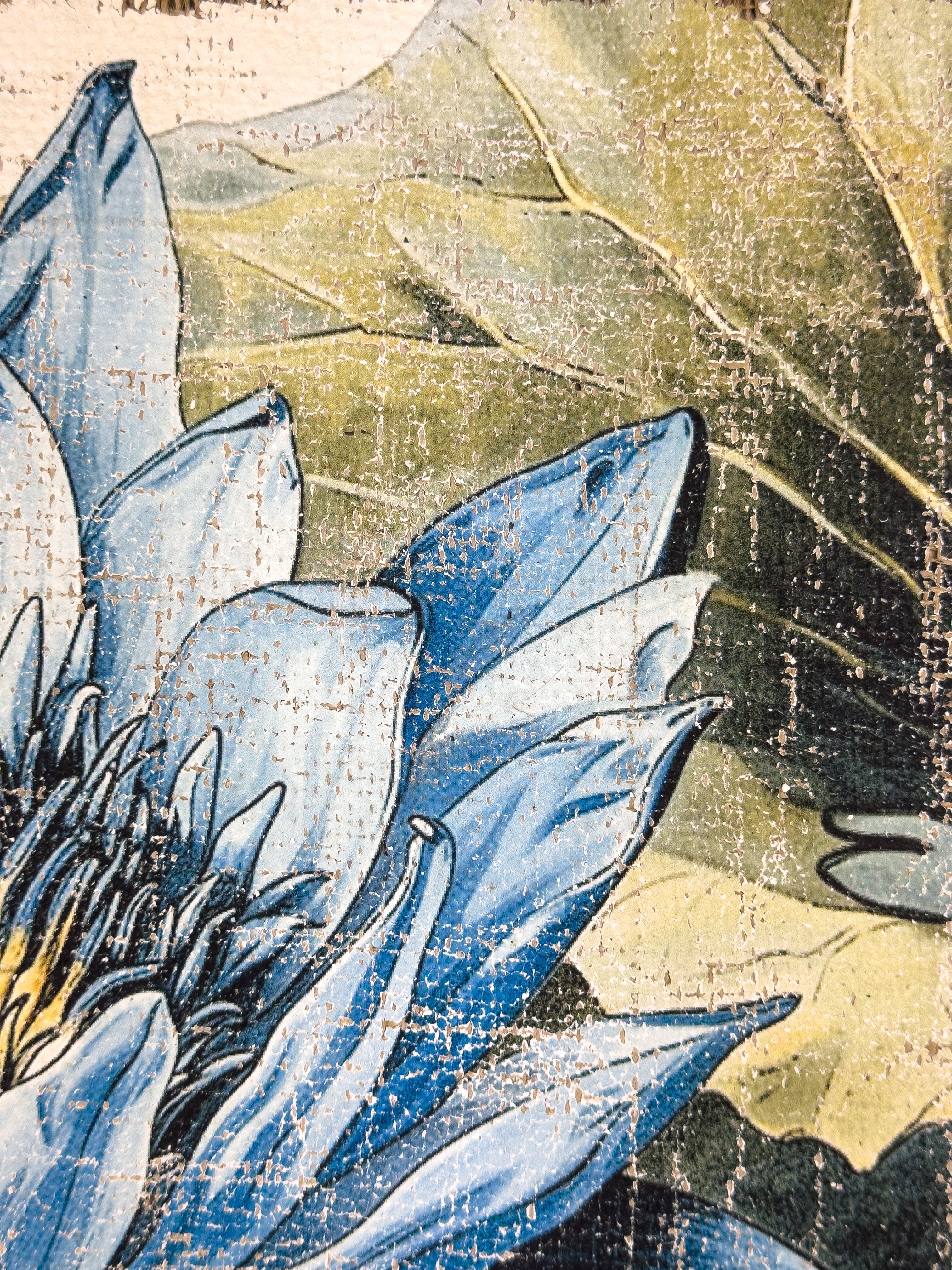 Secrets of the Lotus