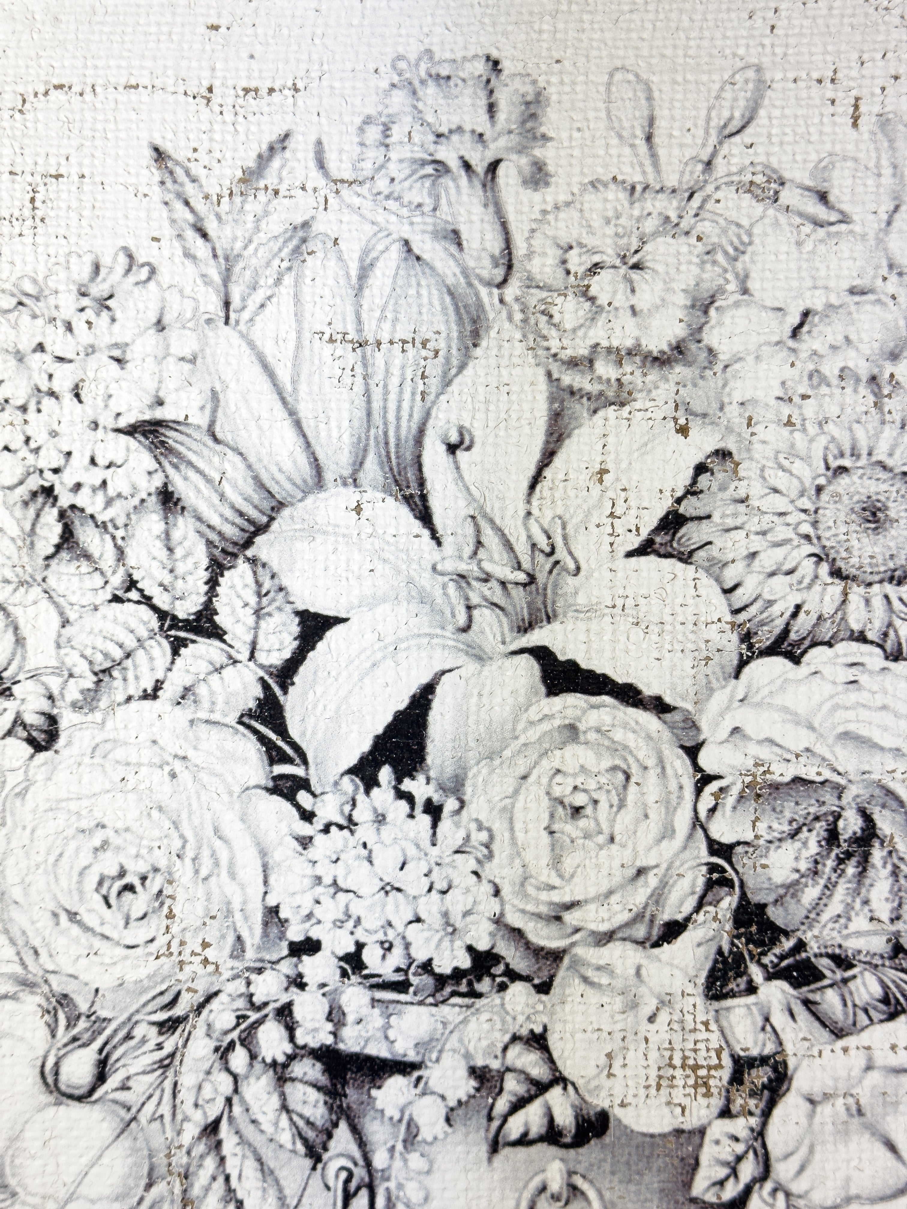 Black and Blanc Opulence