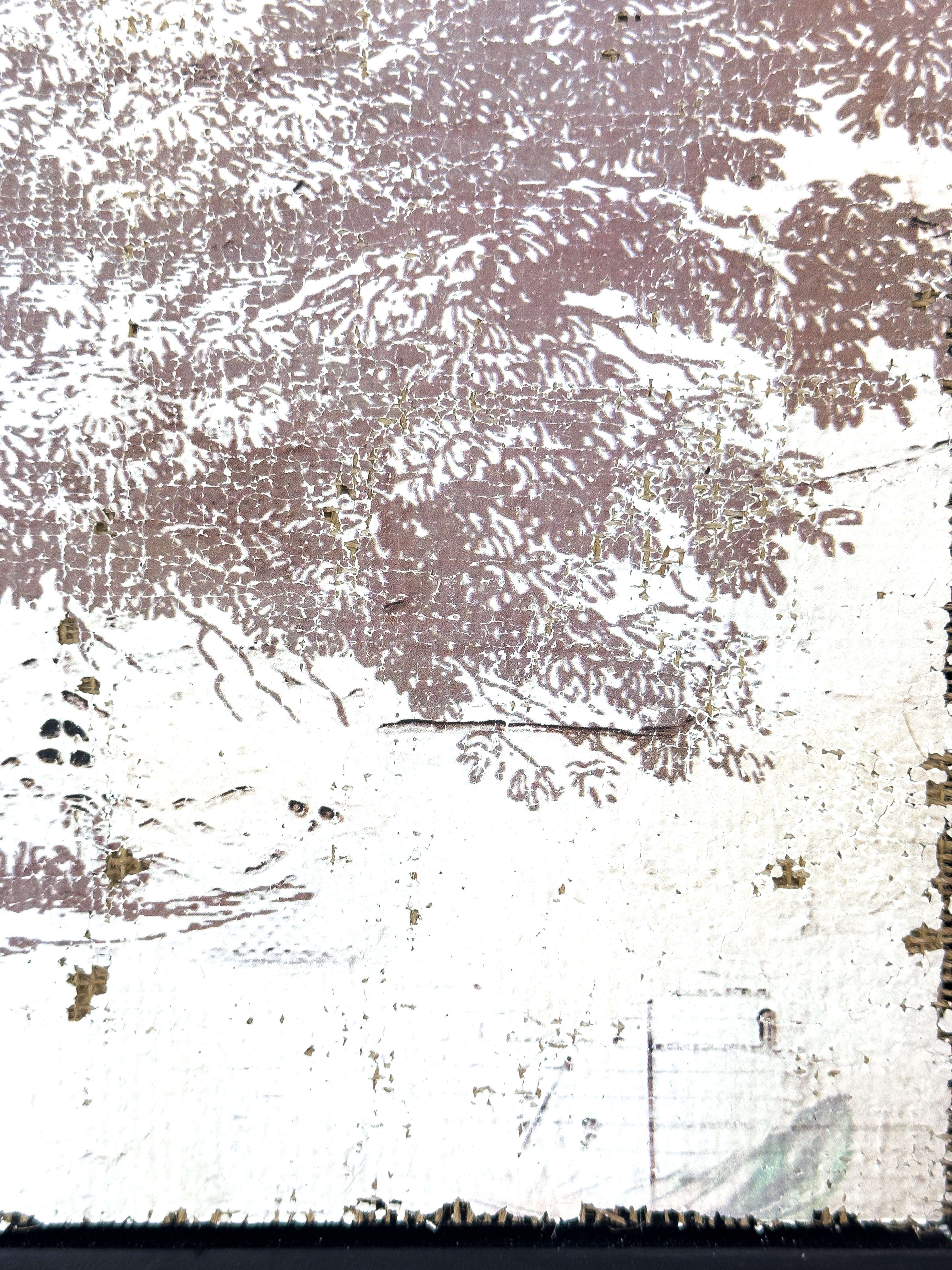 Vintage Ash Tree - Beneath the Ash