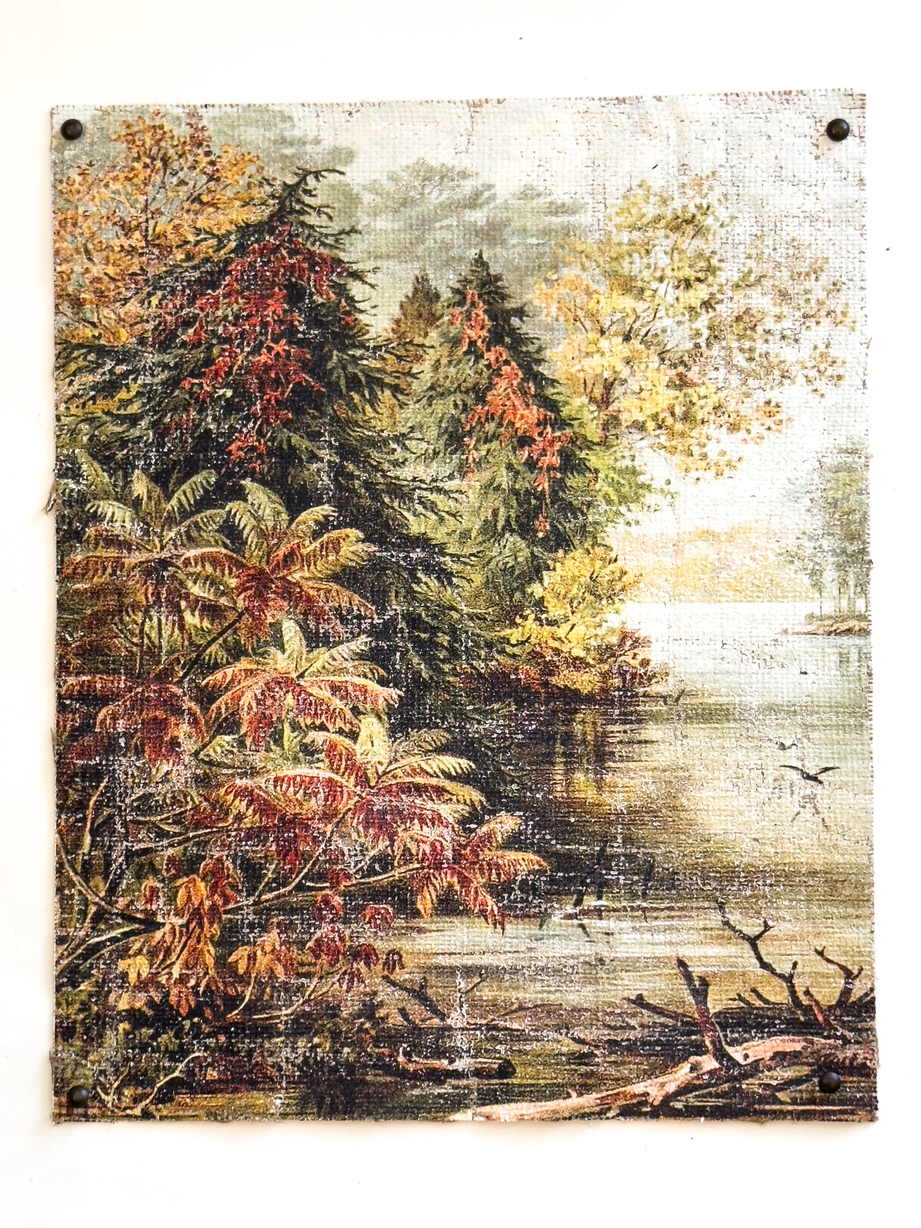 Vintage Fall Color - Changing Seasons