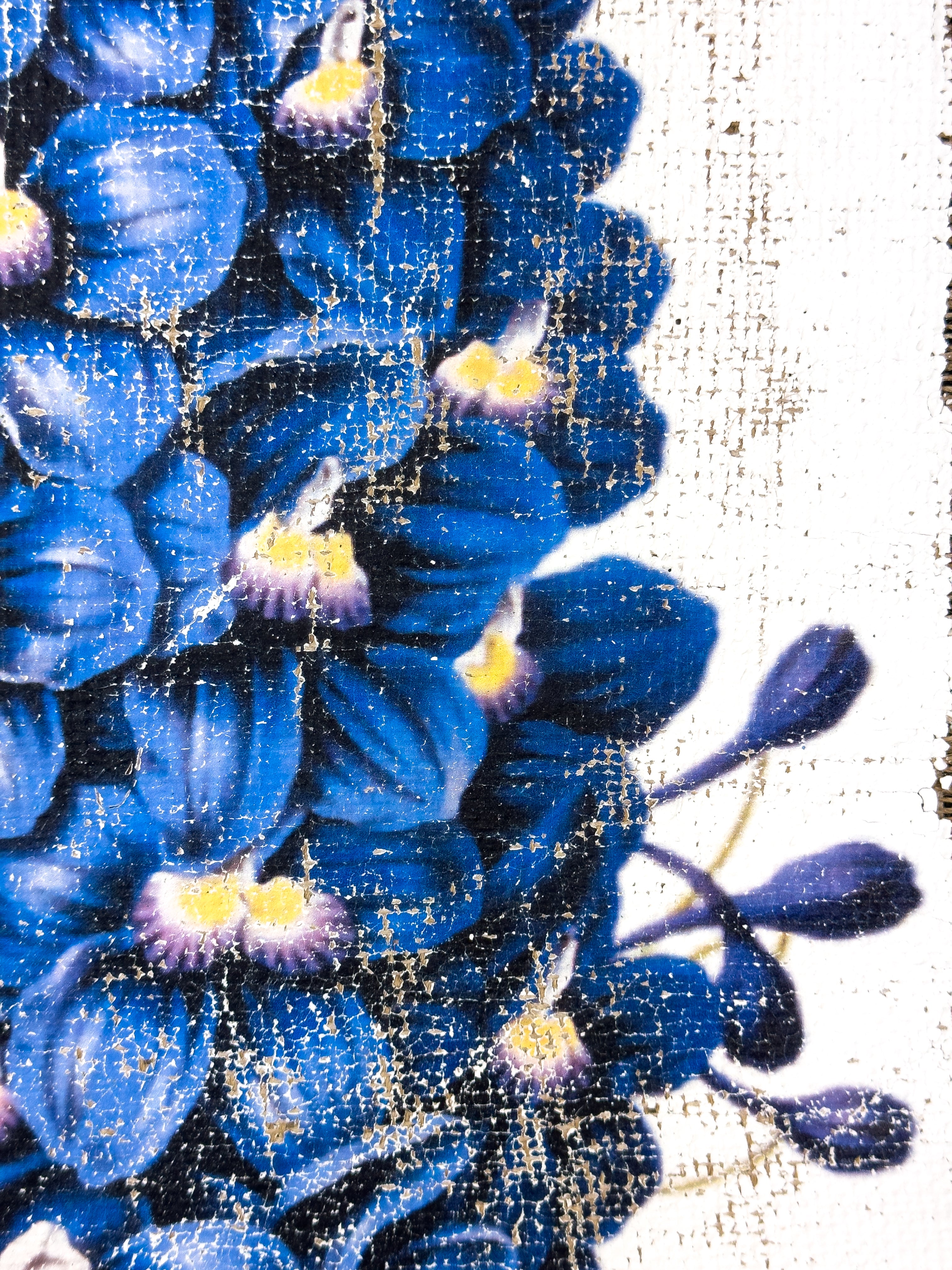 Blue Flowers of Radiance