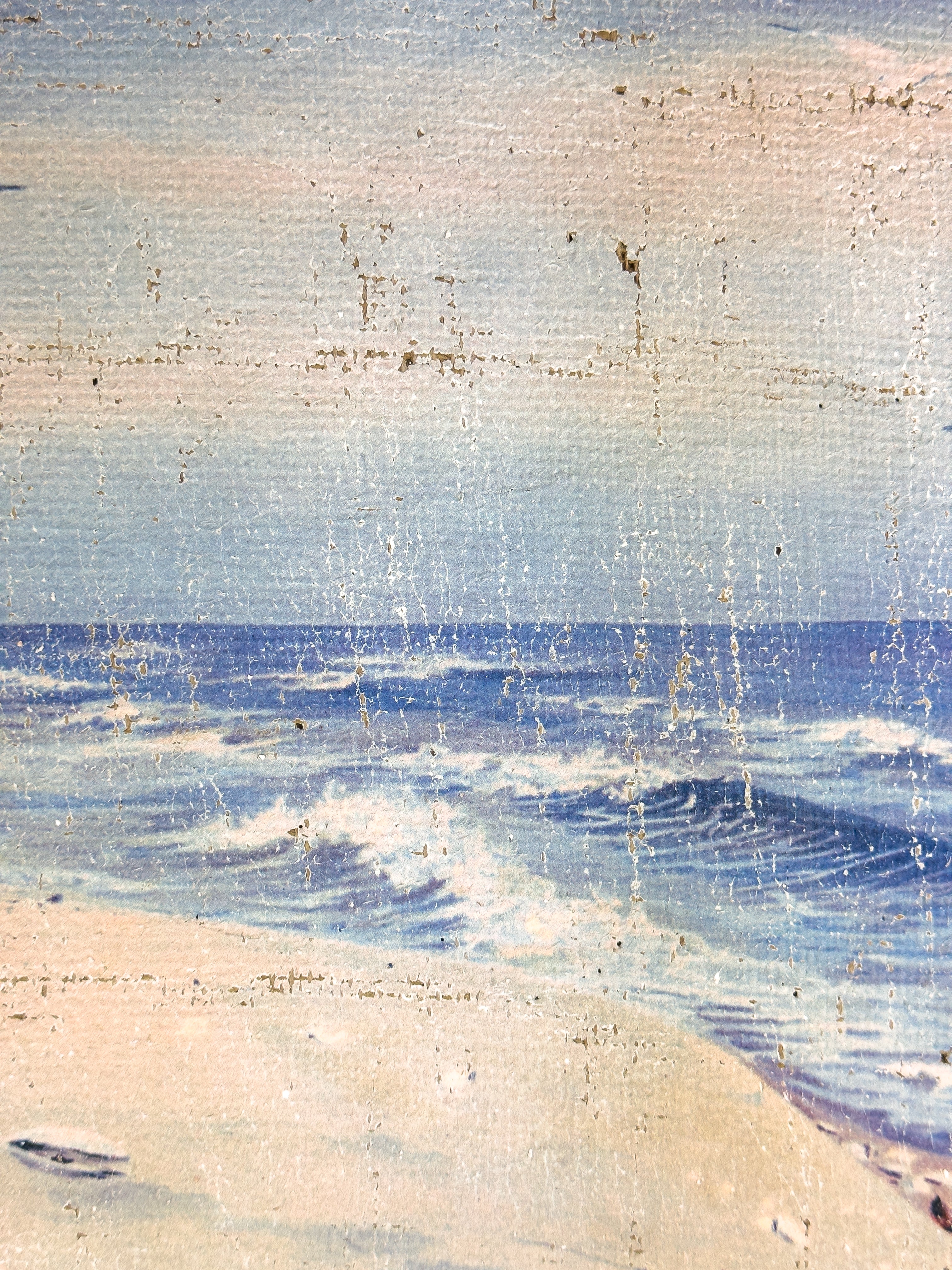 Coastal Beach Day - Where the Gulls Lead