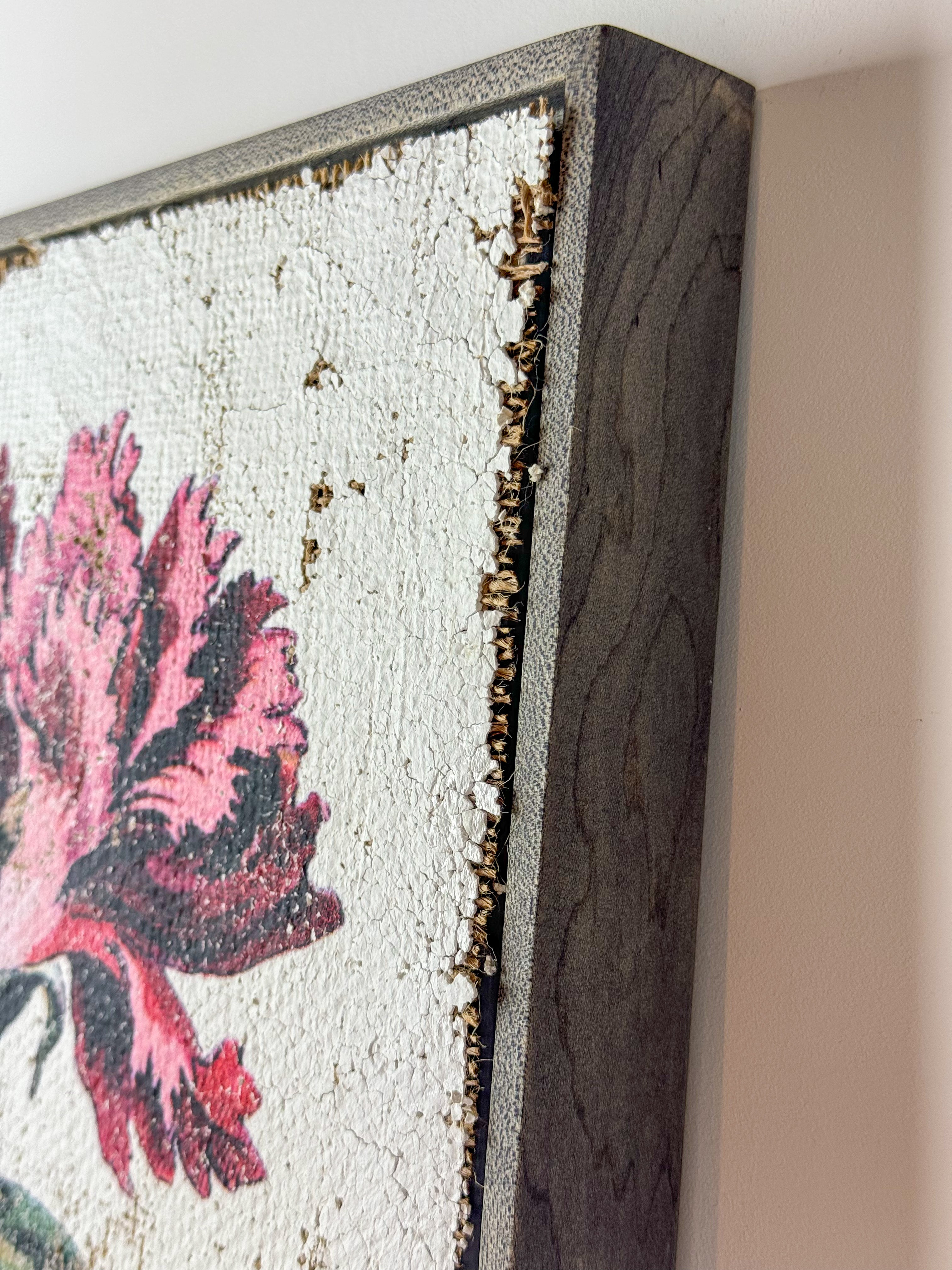 Clove pink carnation