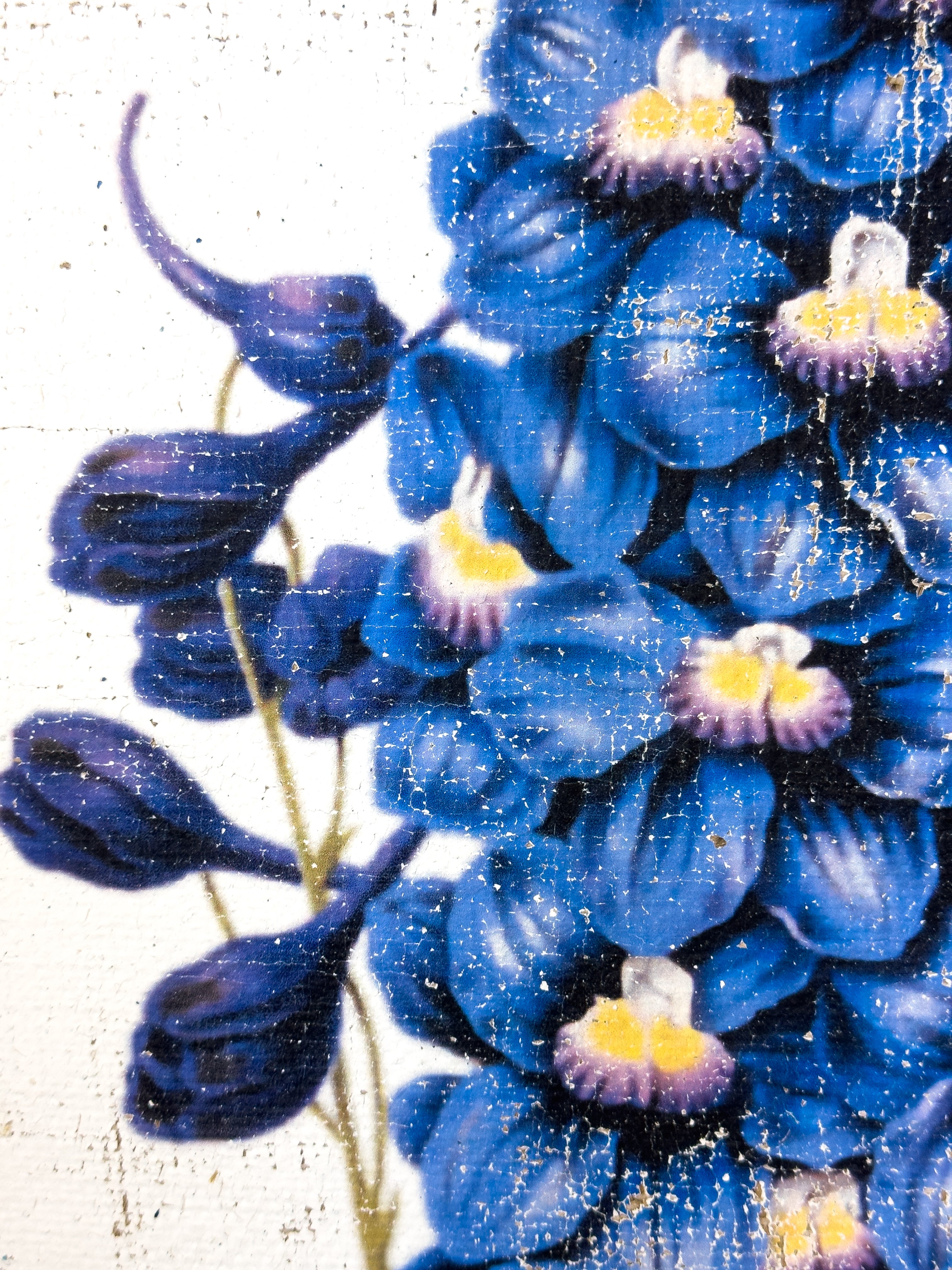 Blue Flowers of Radiance