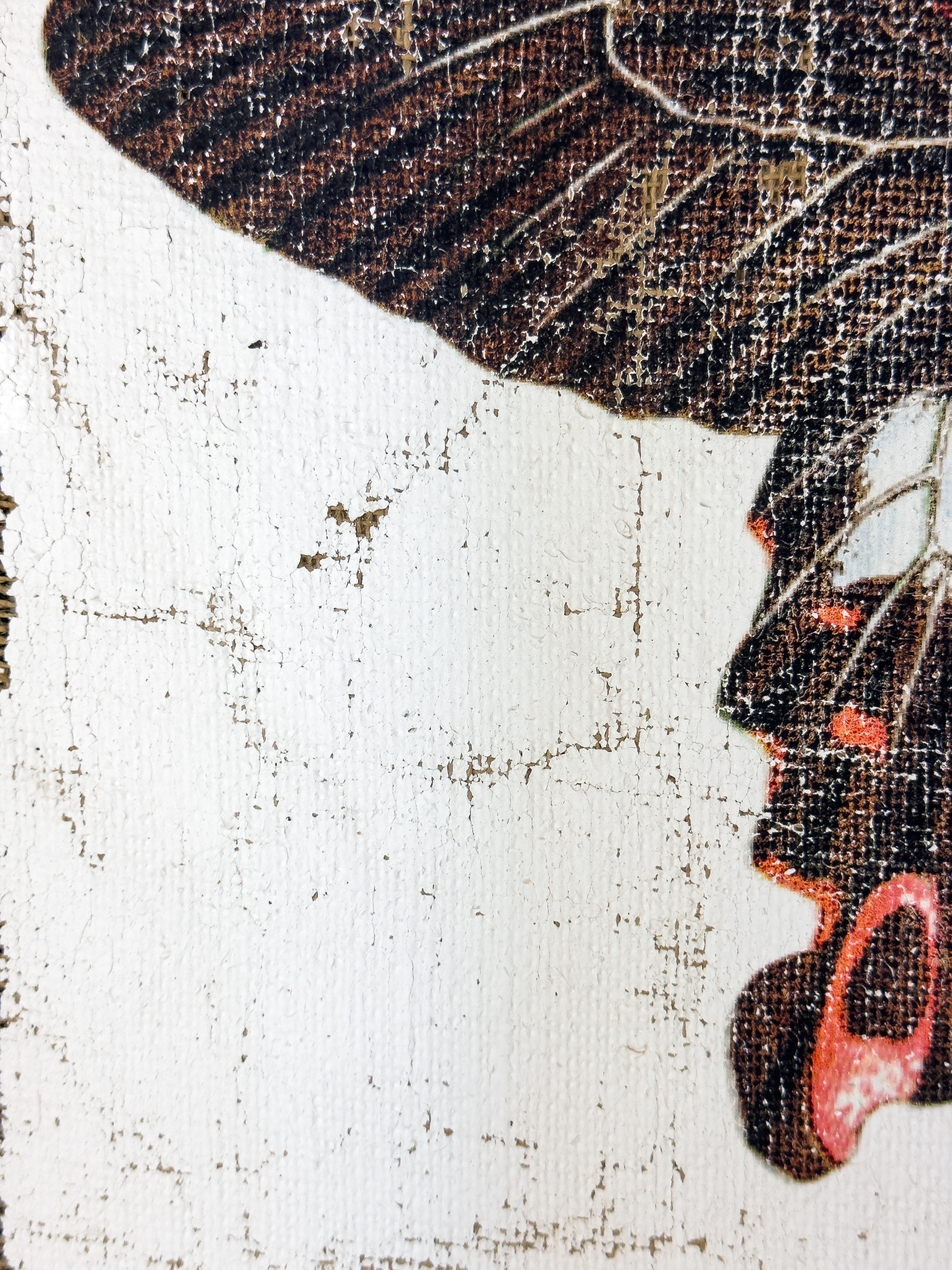 Swallowtail butterfly