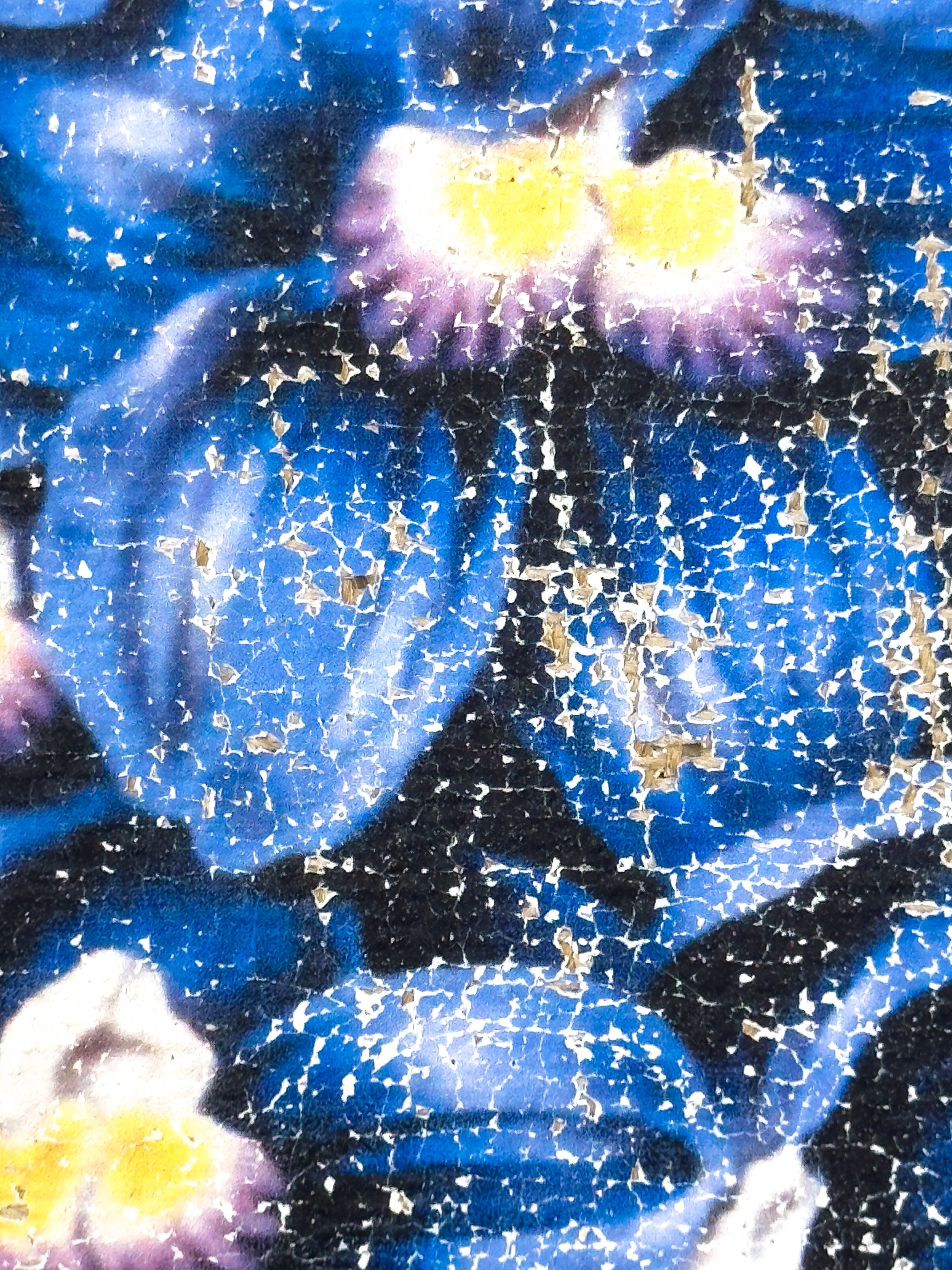 Blue Flowers of Radiance