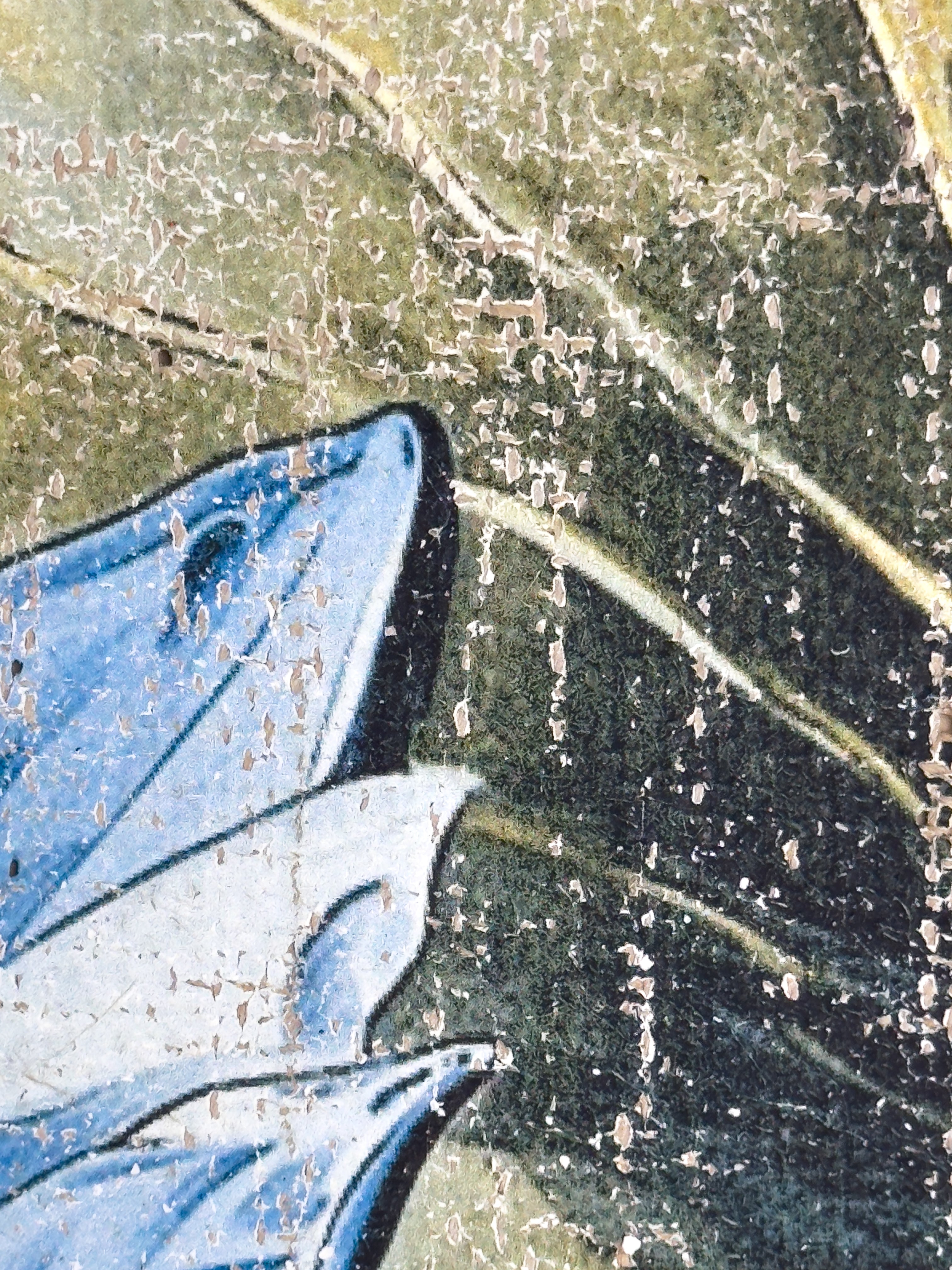 Secrets of the Lotus