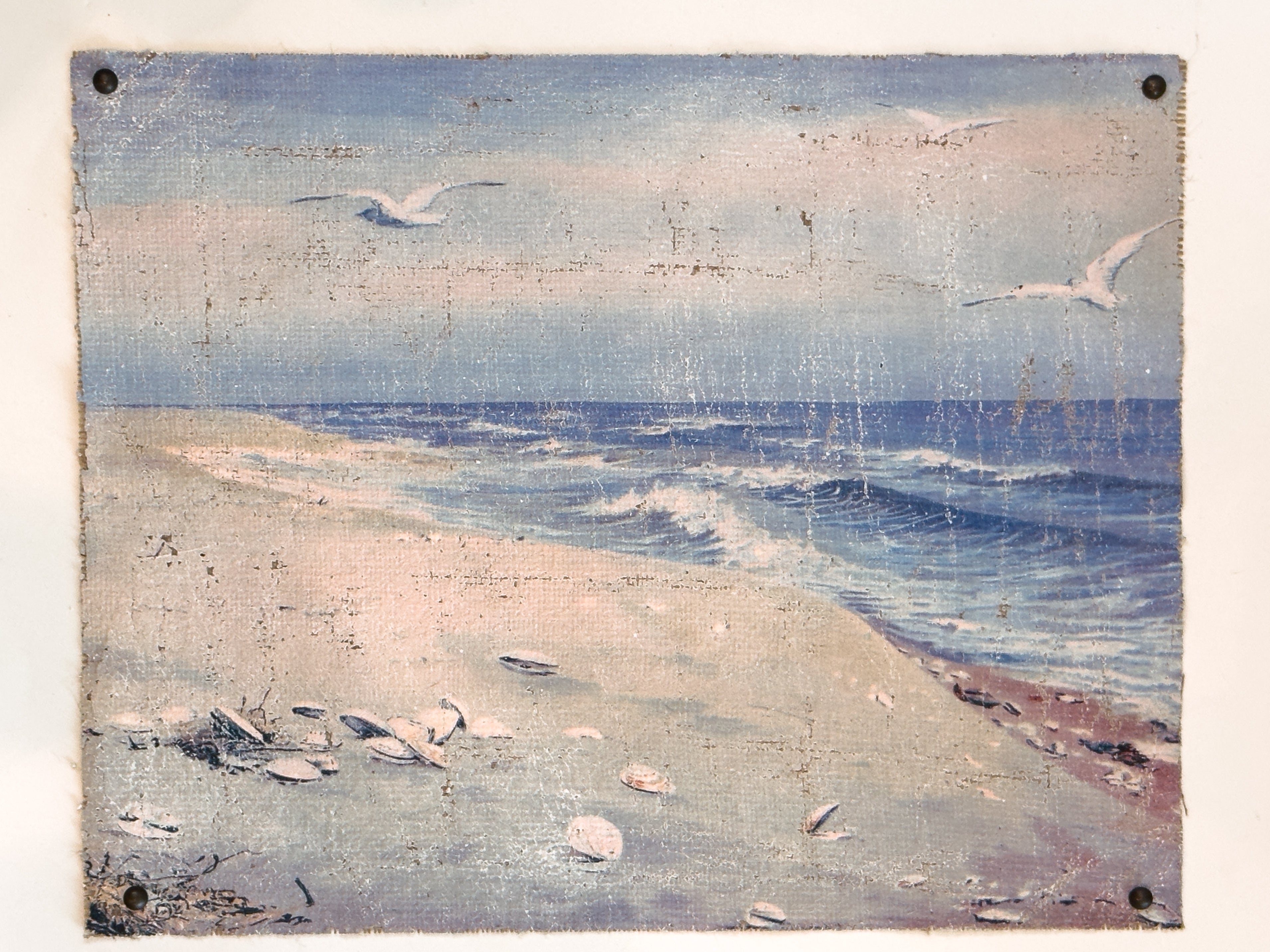 Coastal Beach Day - Where the Gulls Lead