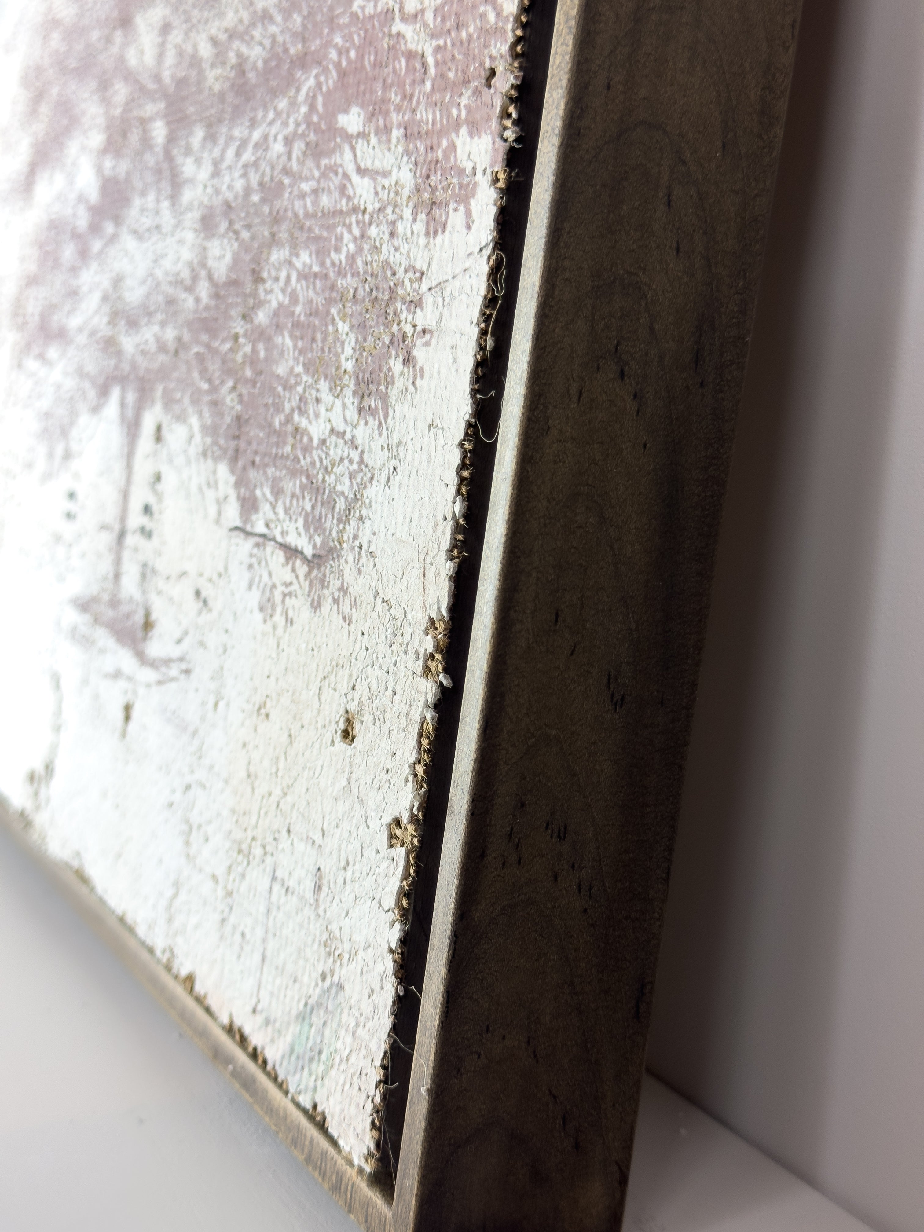 Vintage Ash Tree - Beneath the Ash