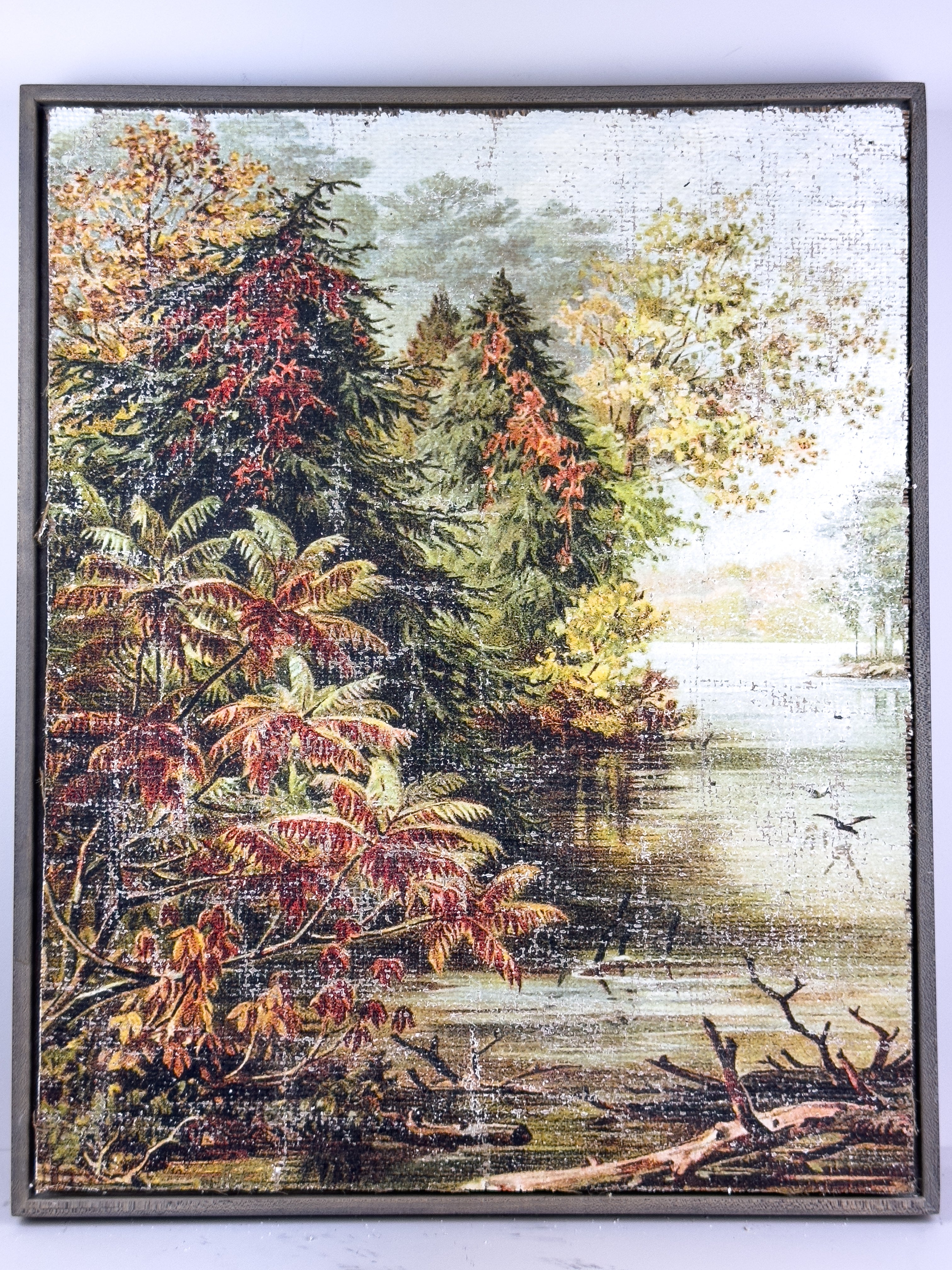 Vintage Fall Color - Changing Seasons