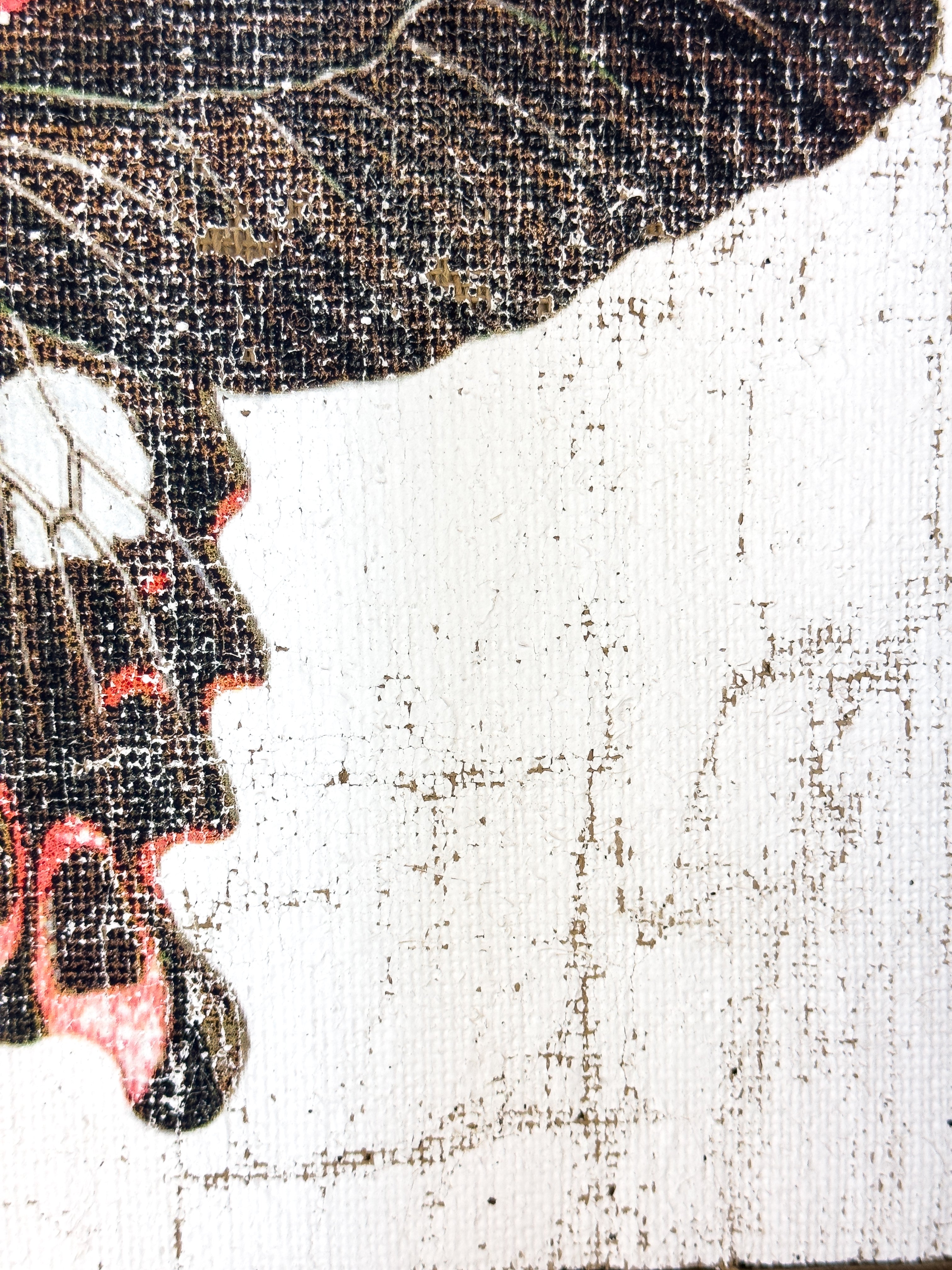 Swallowtail butterfly