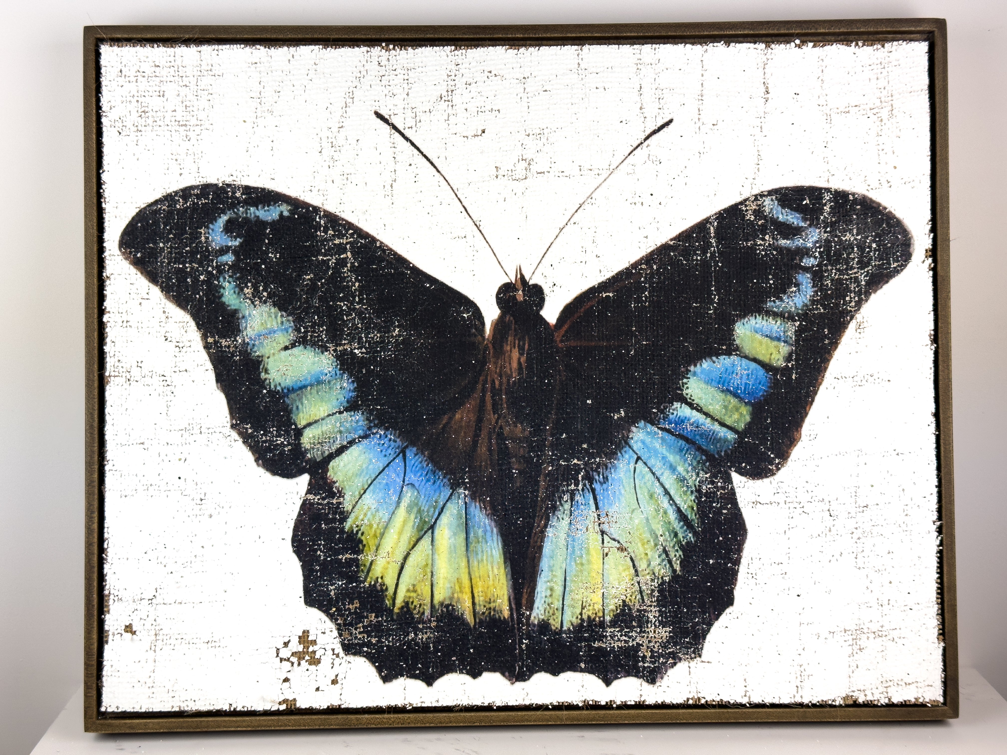 Blue Green Butterfly