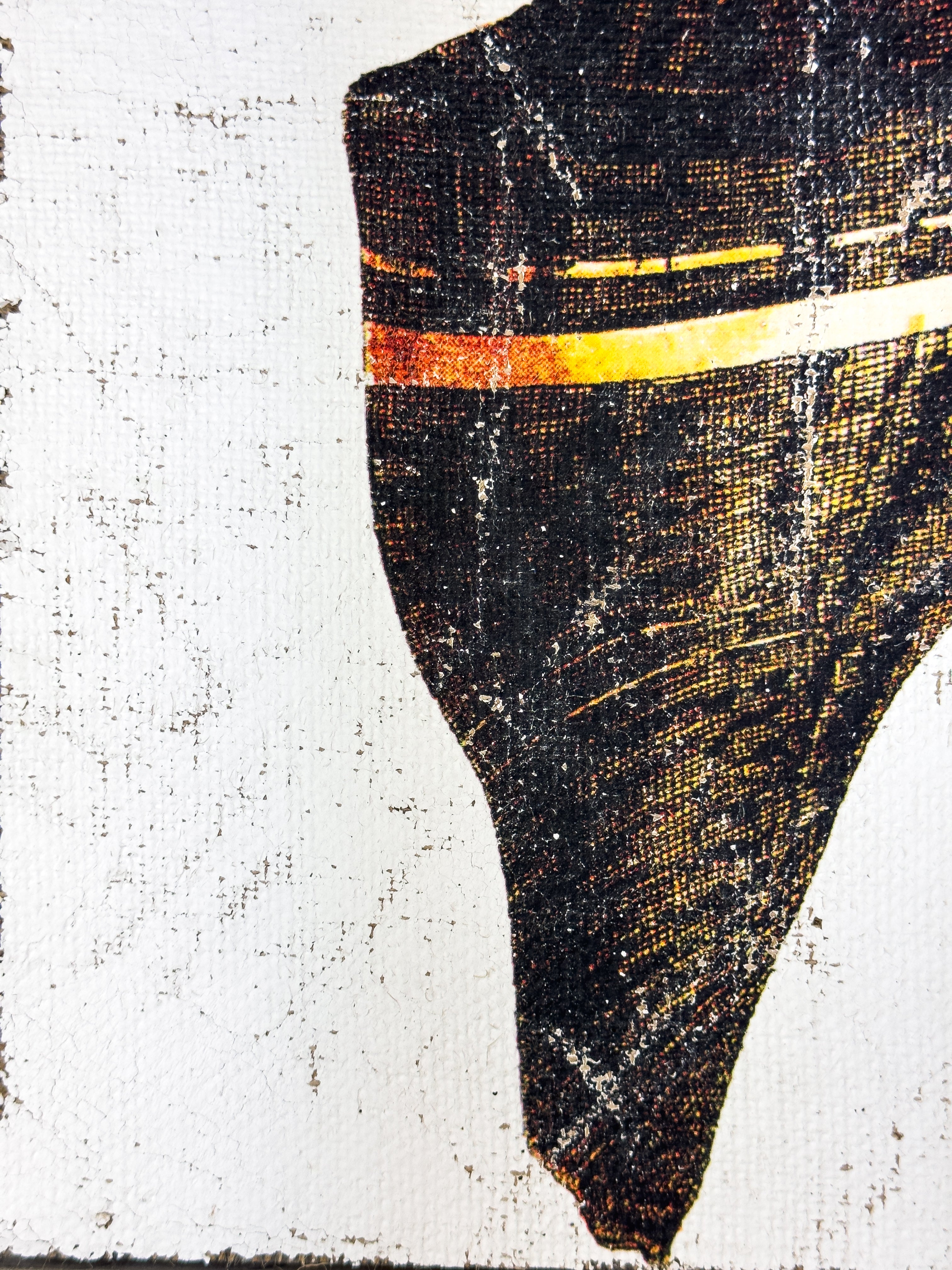 Black and Gold Cone Shell