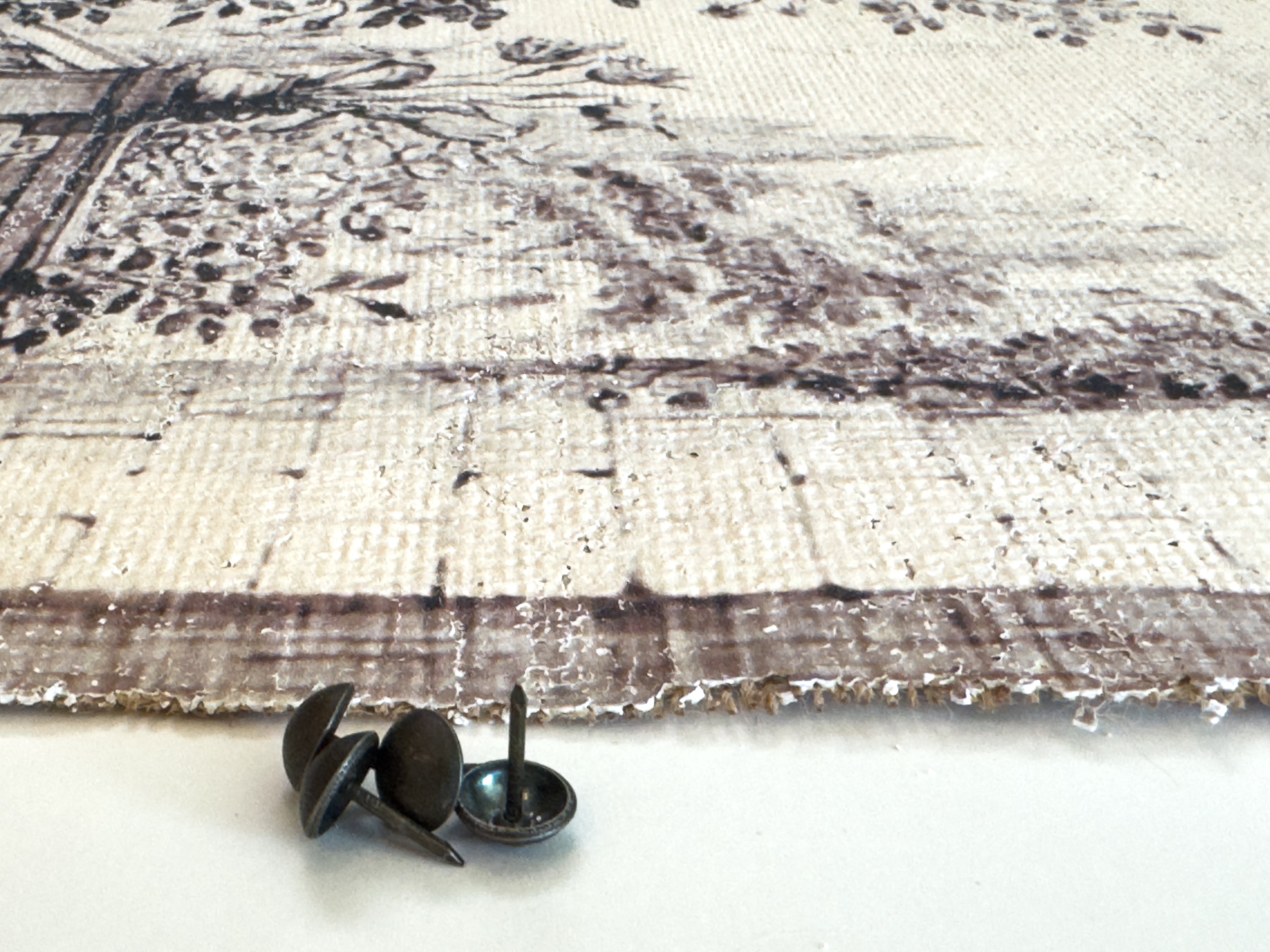 Black and white bird - Balustrade Dreams