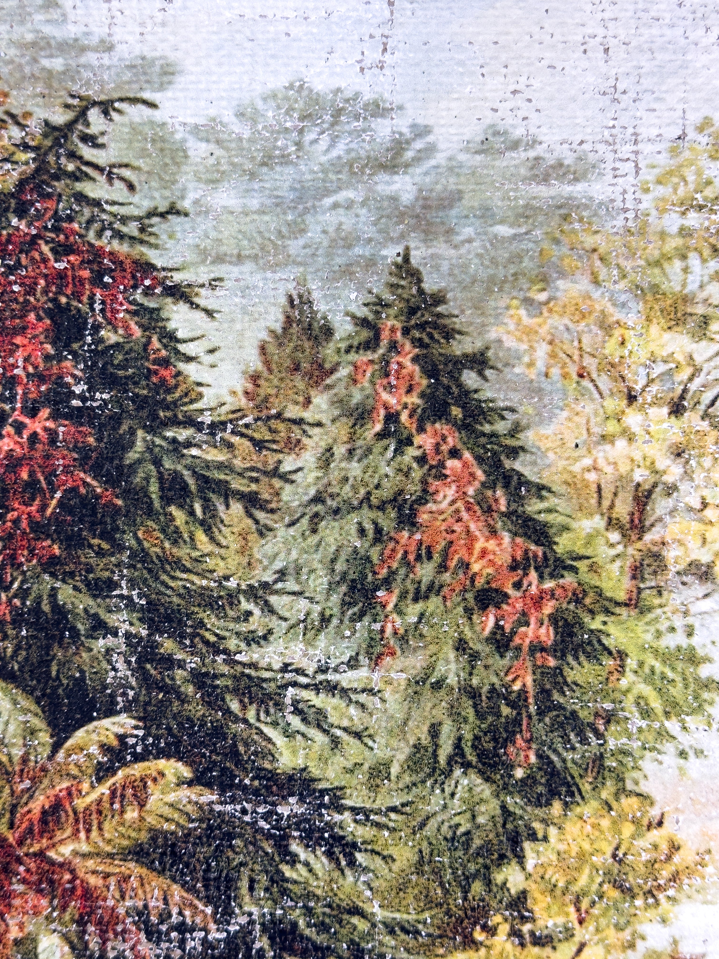 Vintage Fall Color - Changing Seasons