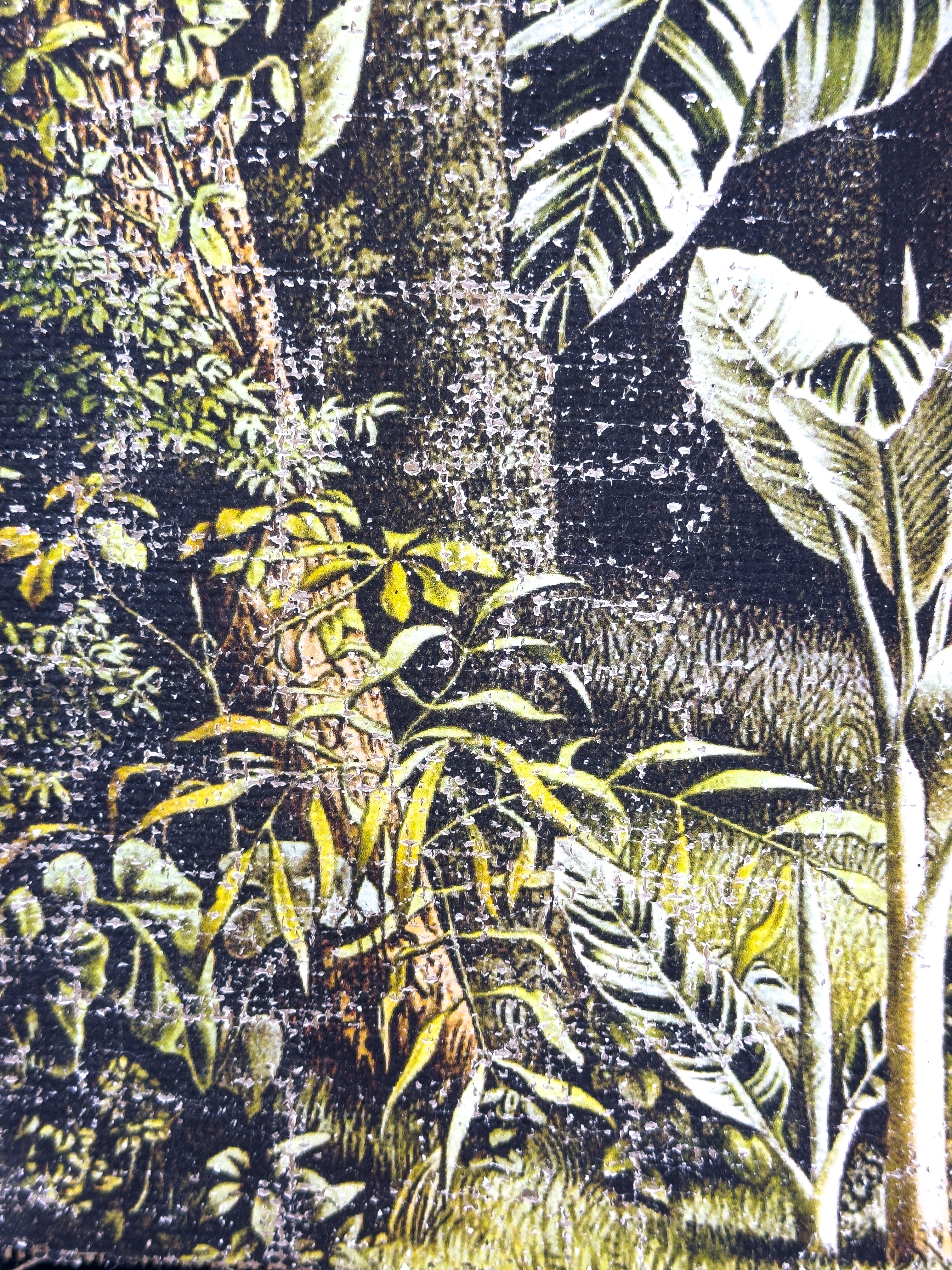 In the Shade of Green