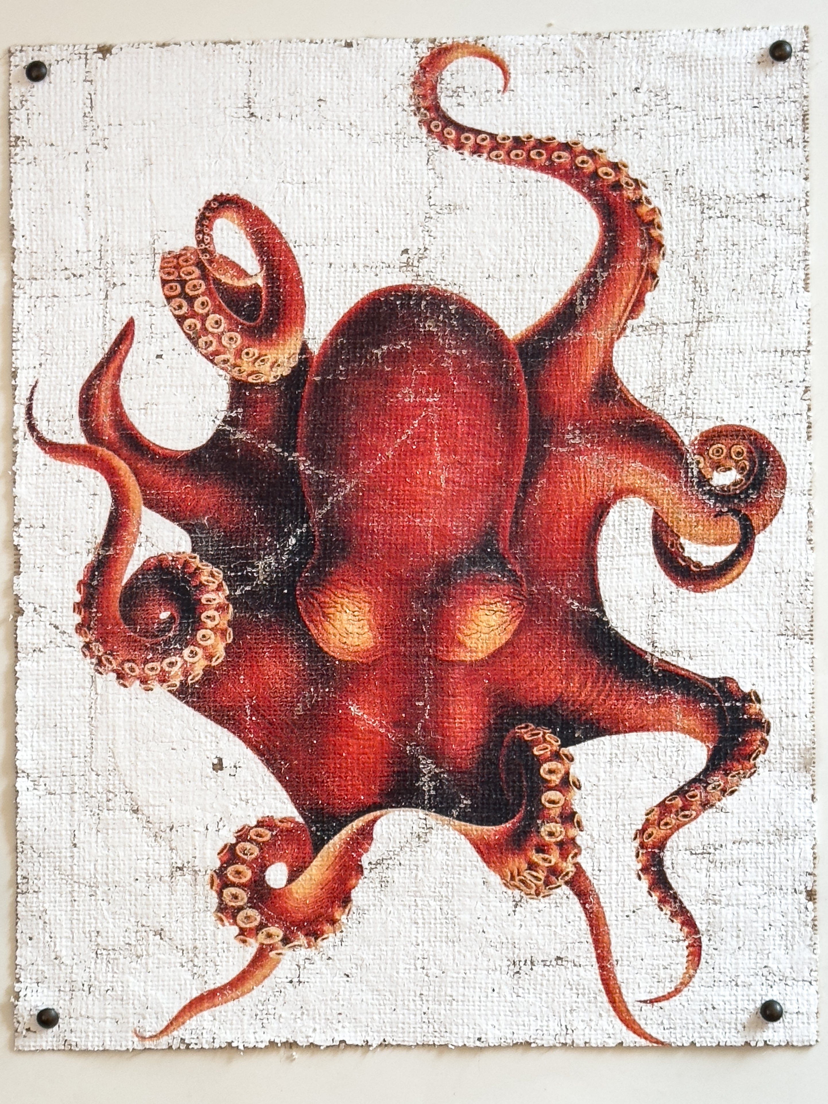 Red Octopus