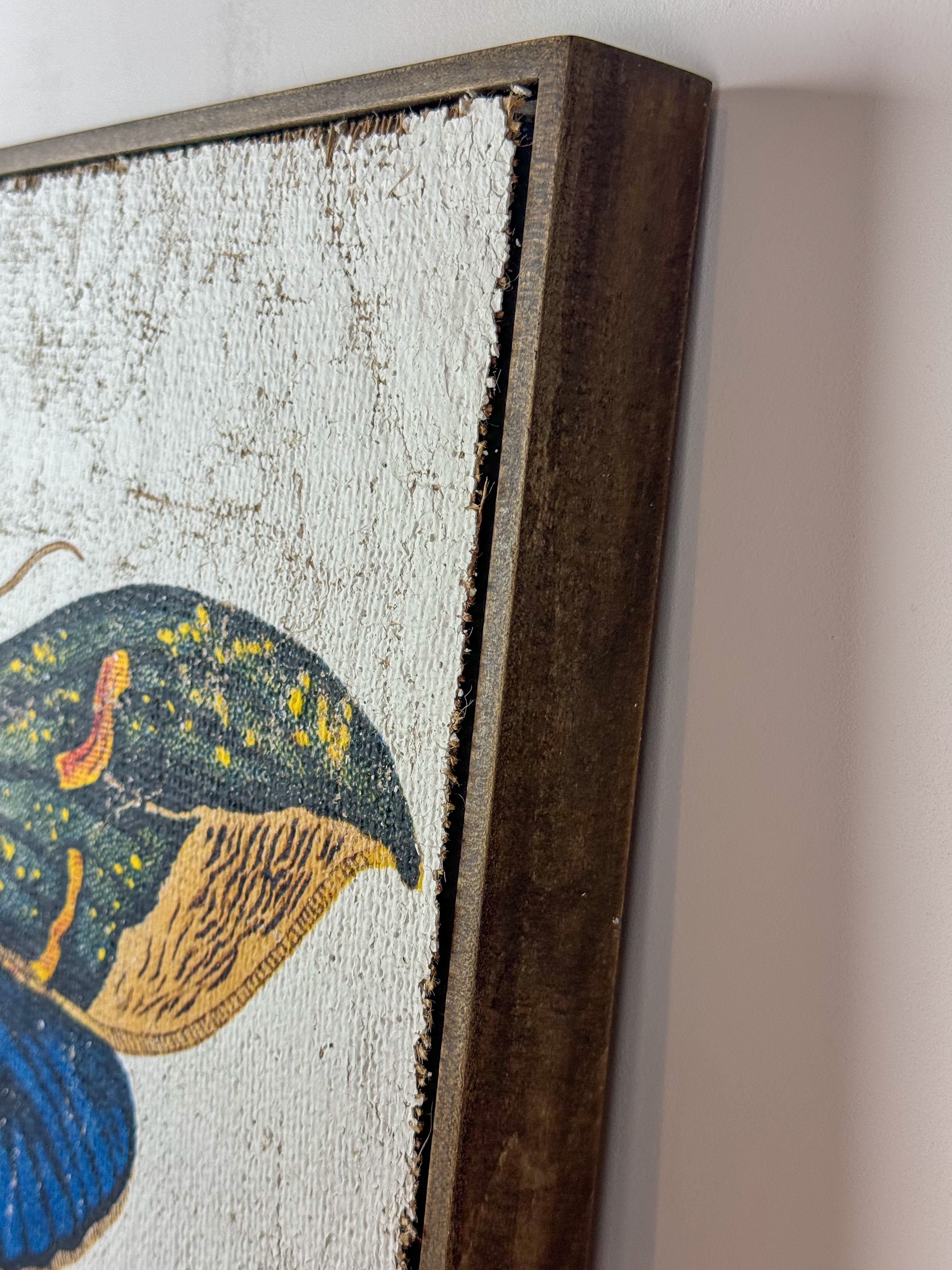 Owlet Moth - Hope Takes Flight