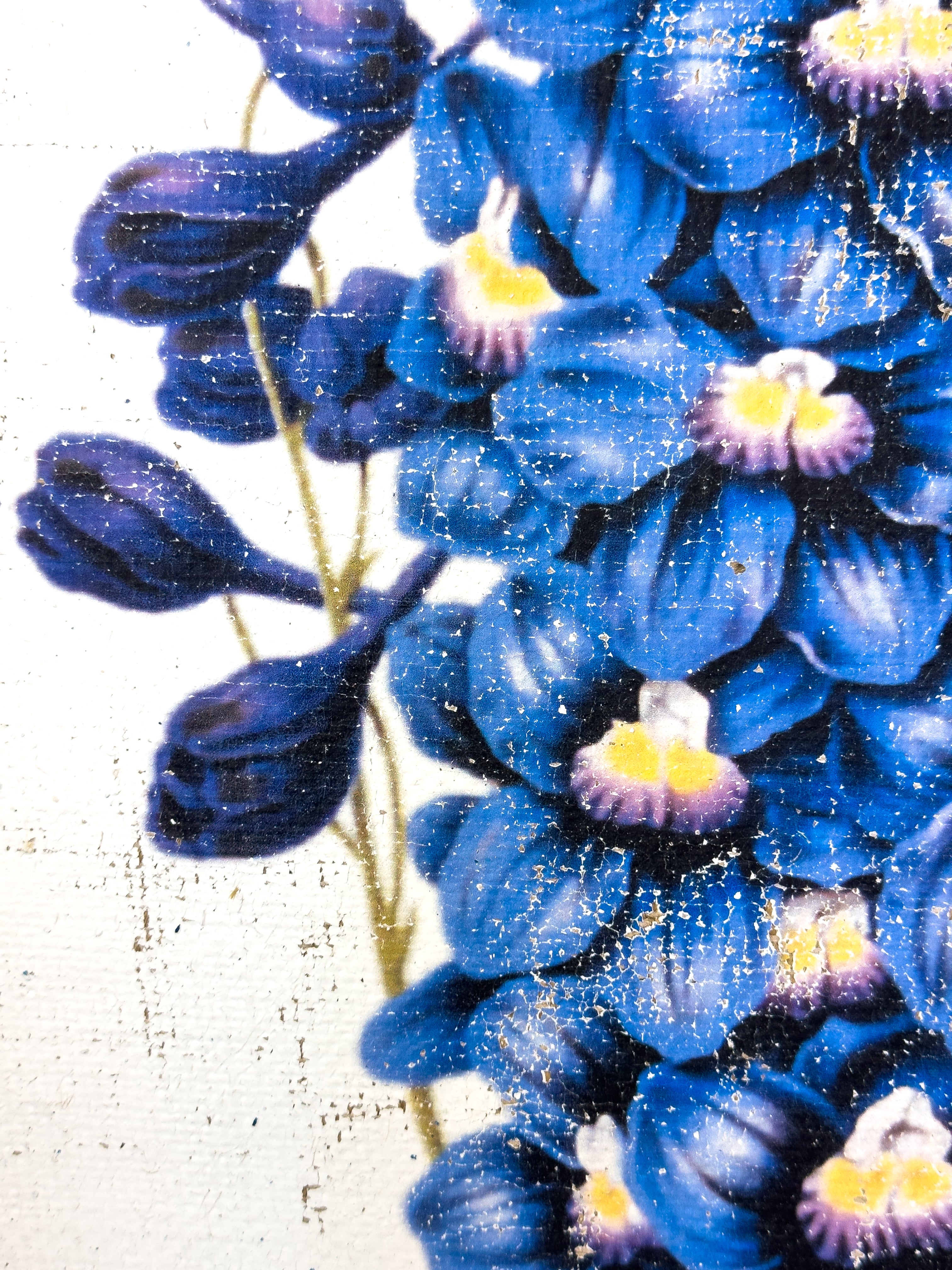 Blue Flowers of Radiance