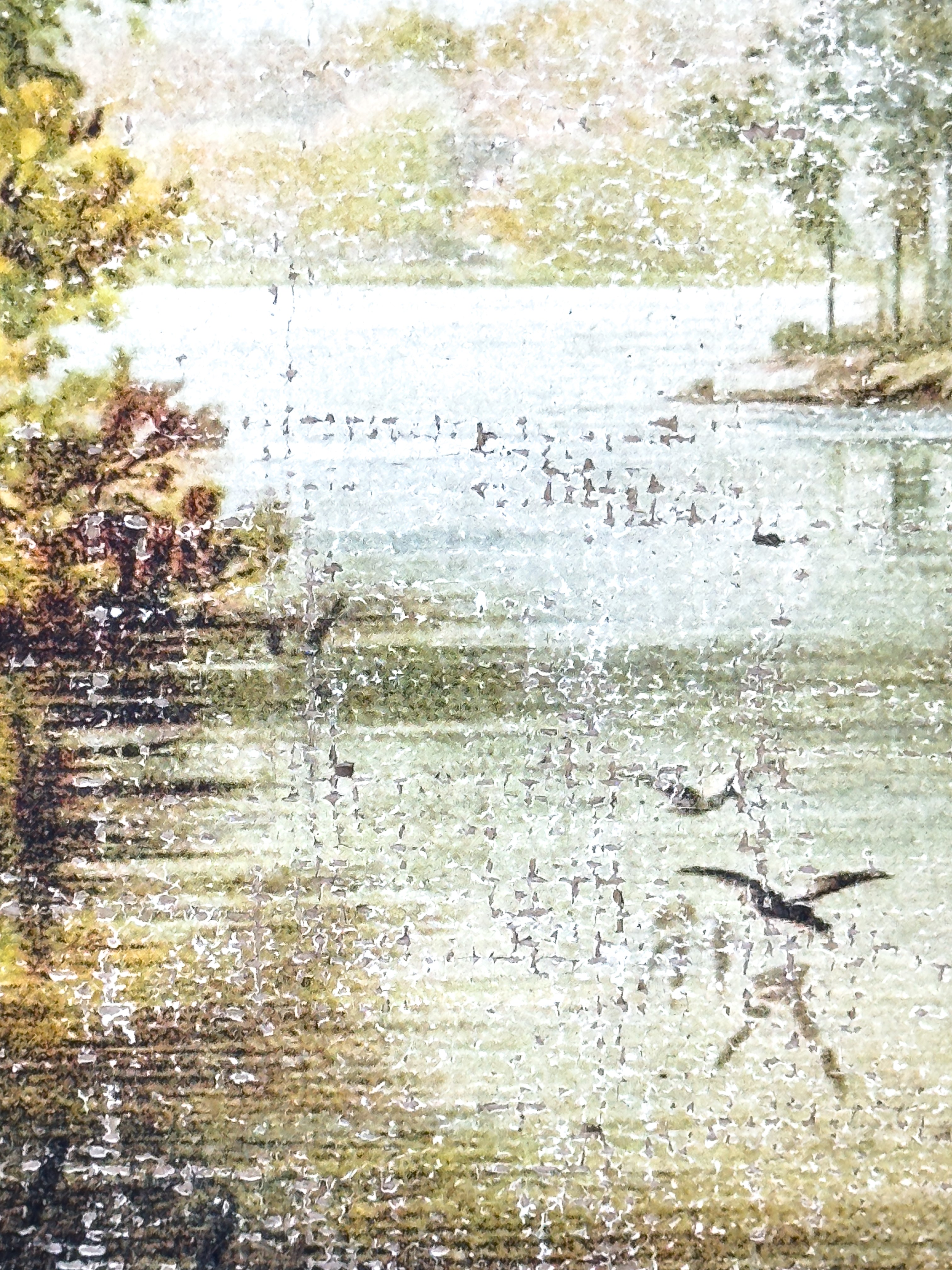 Vintage Fall Color - Changing Seasons