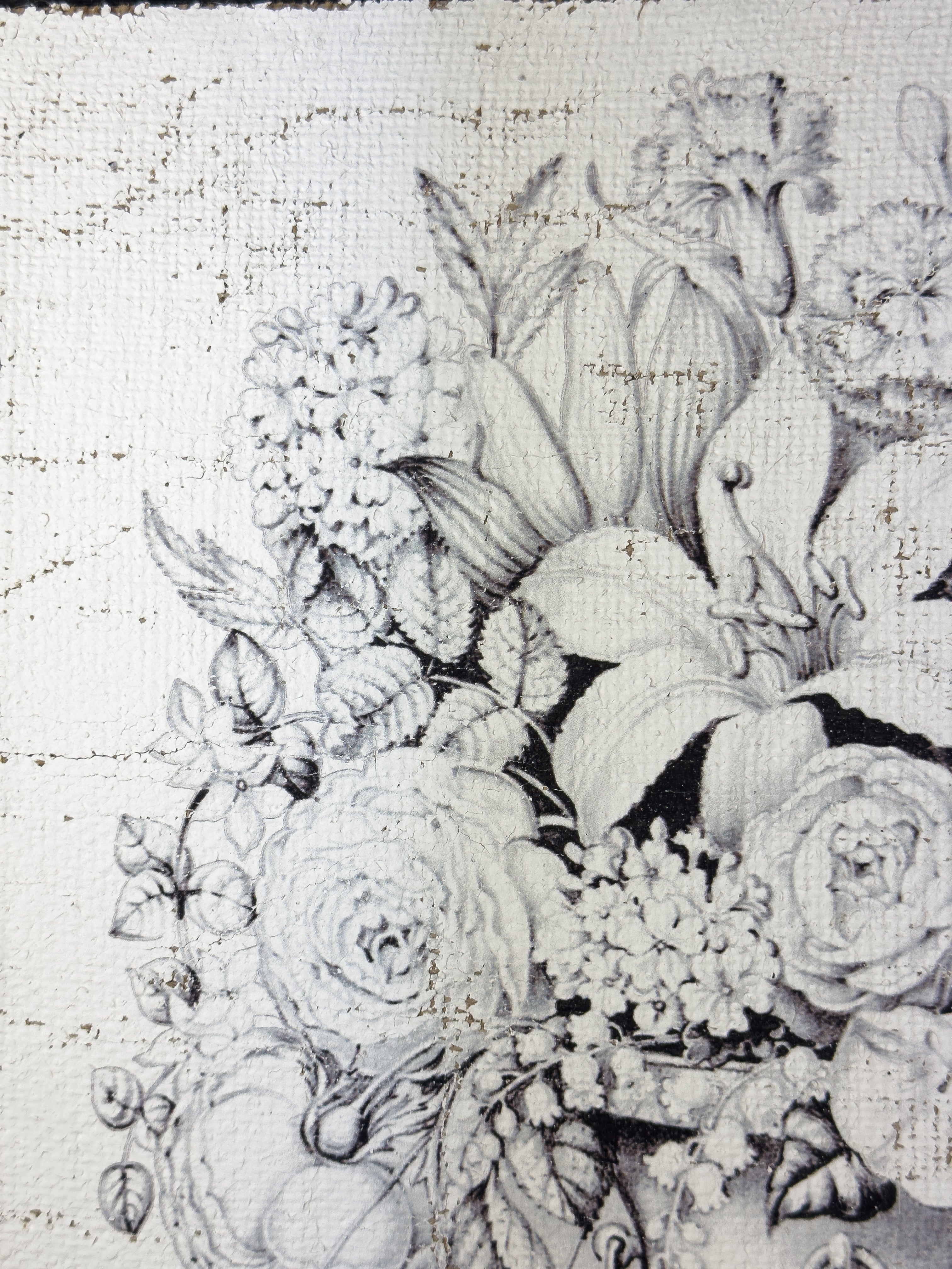 Black and Blanc Opulence