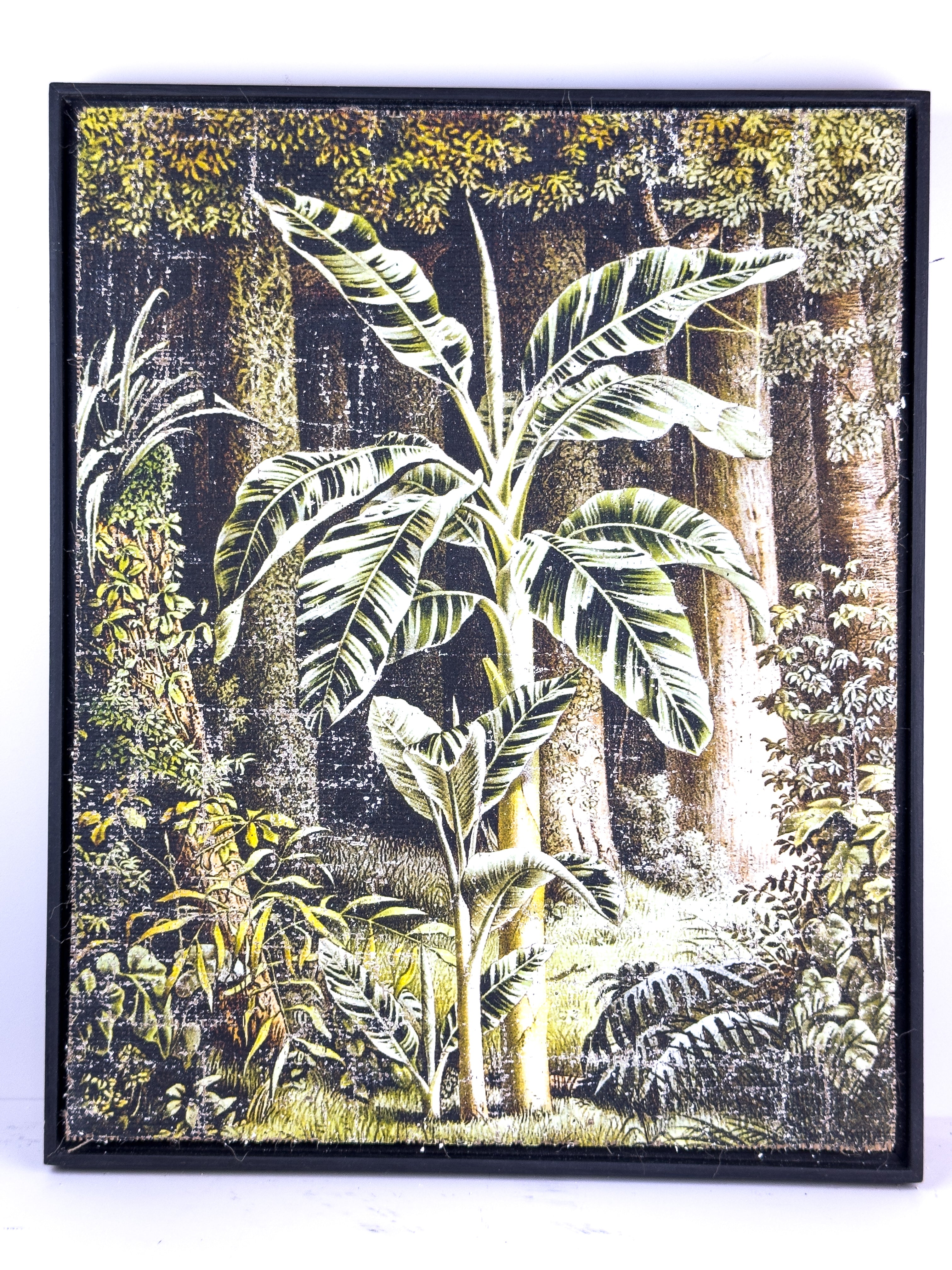 In the Shade of Green