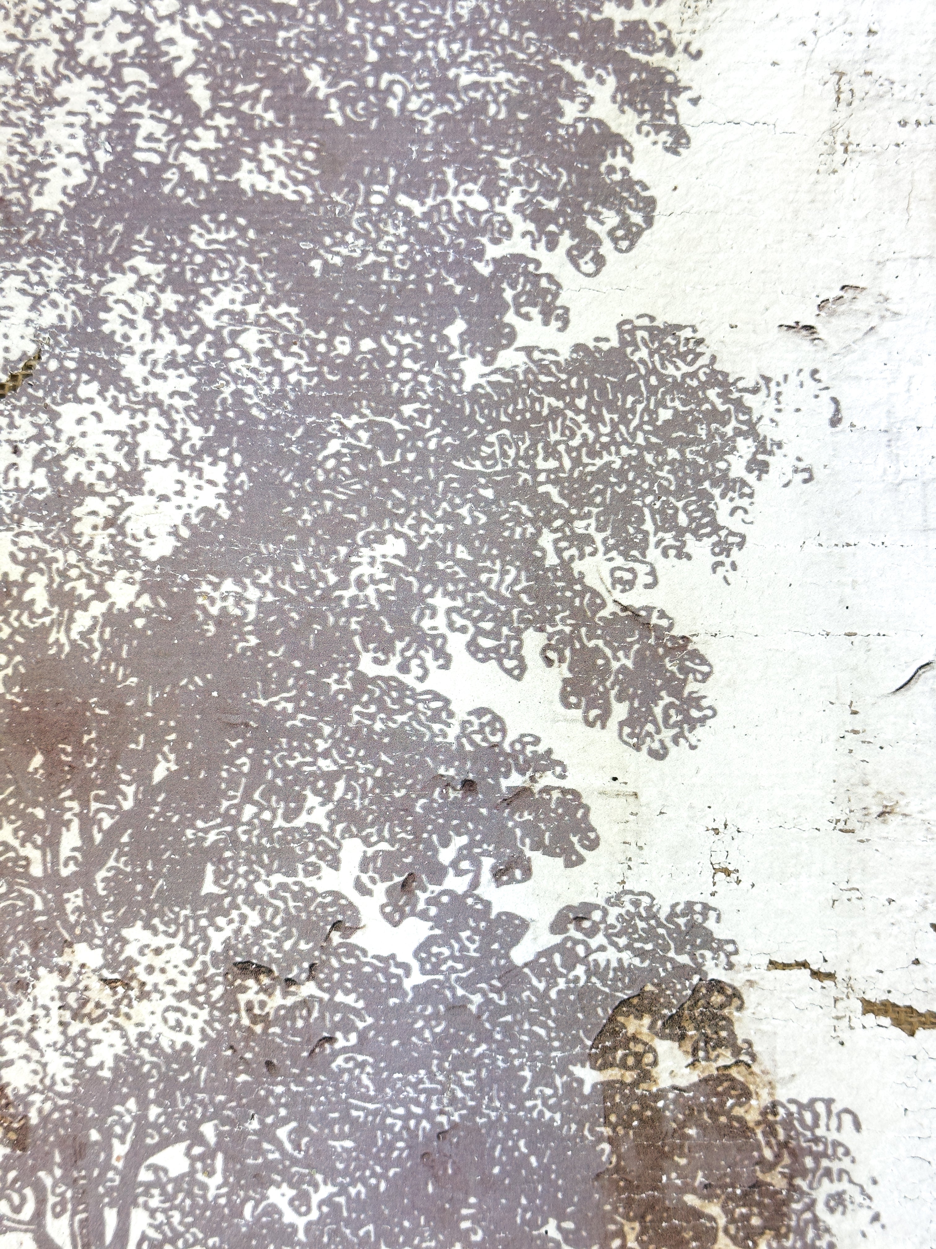 Vintage Tree - Time Stands Still