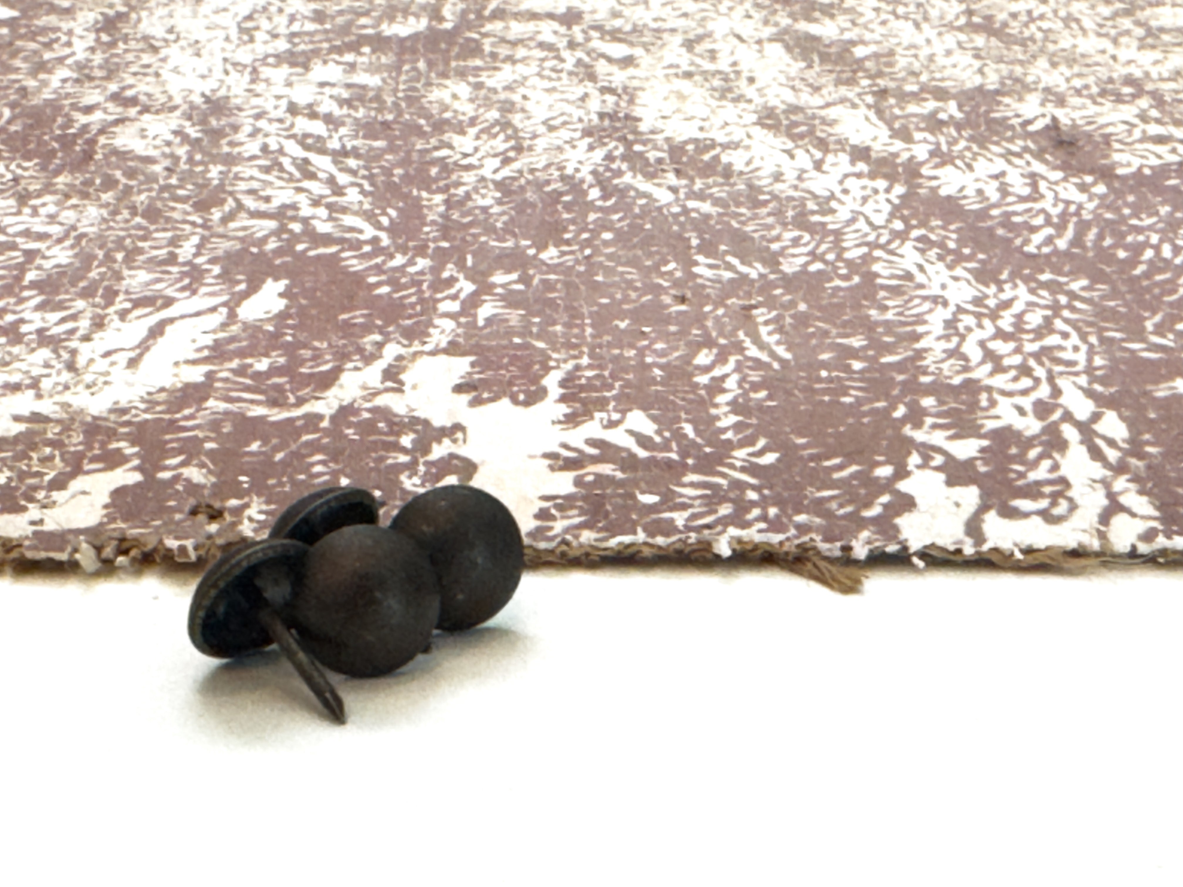 Vintage Ash Tree - Beneath the Ash