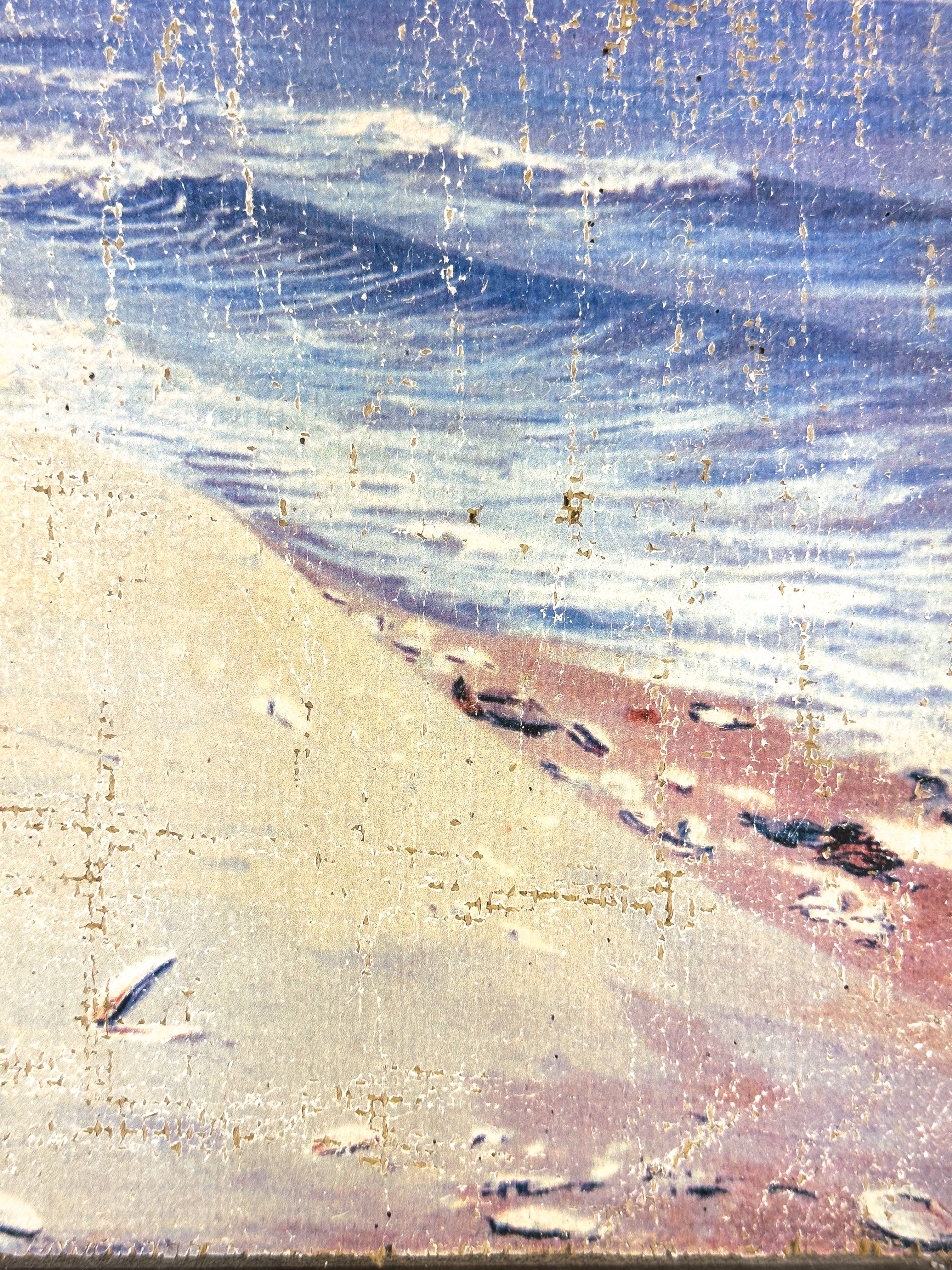 Coastal Beach Day - Where the Gulls Lead