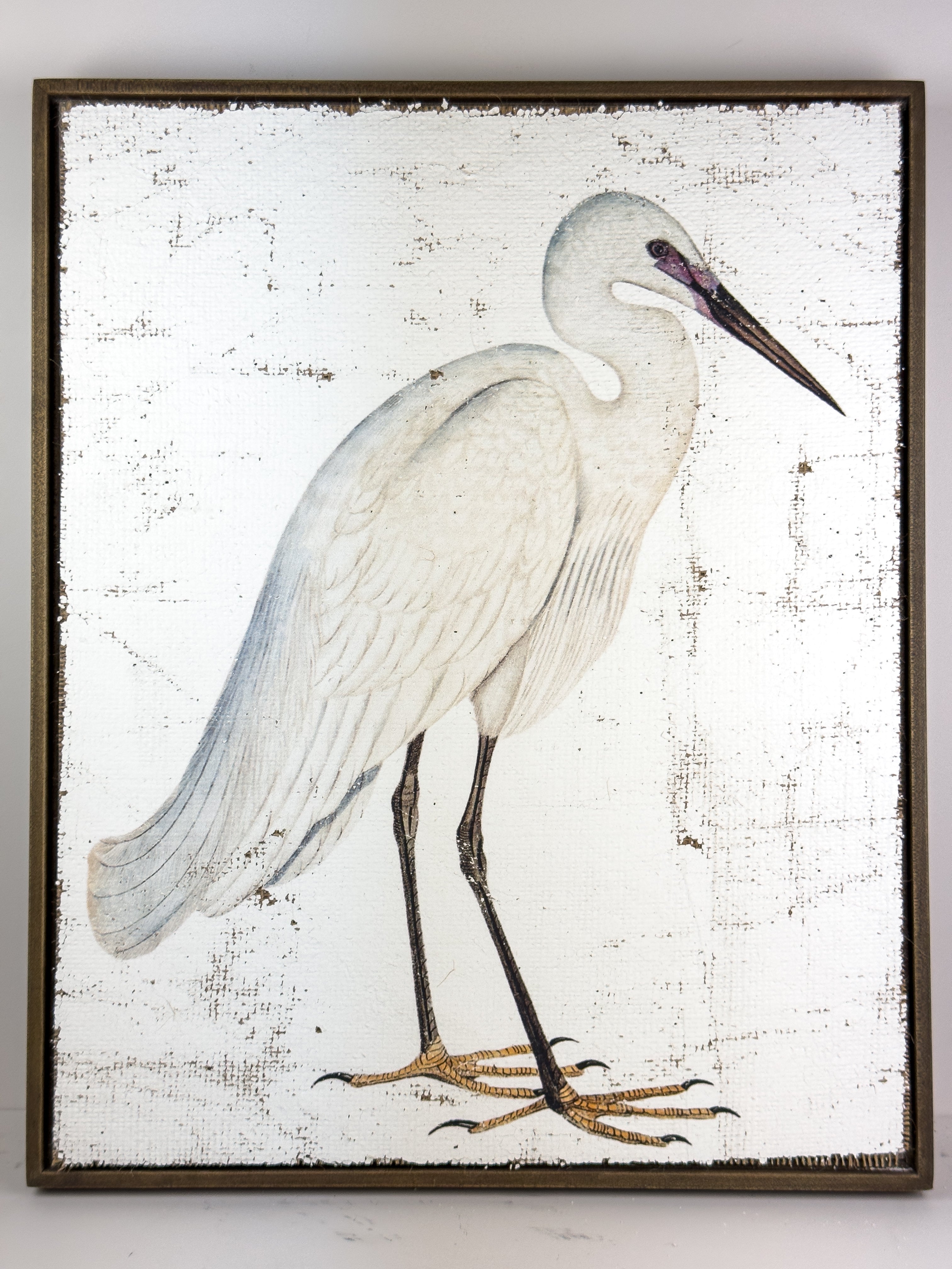 White Egret