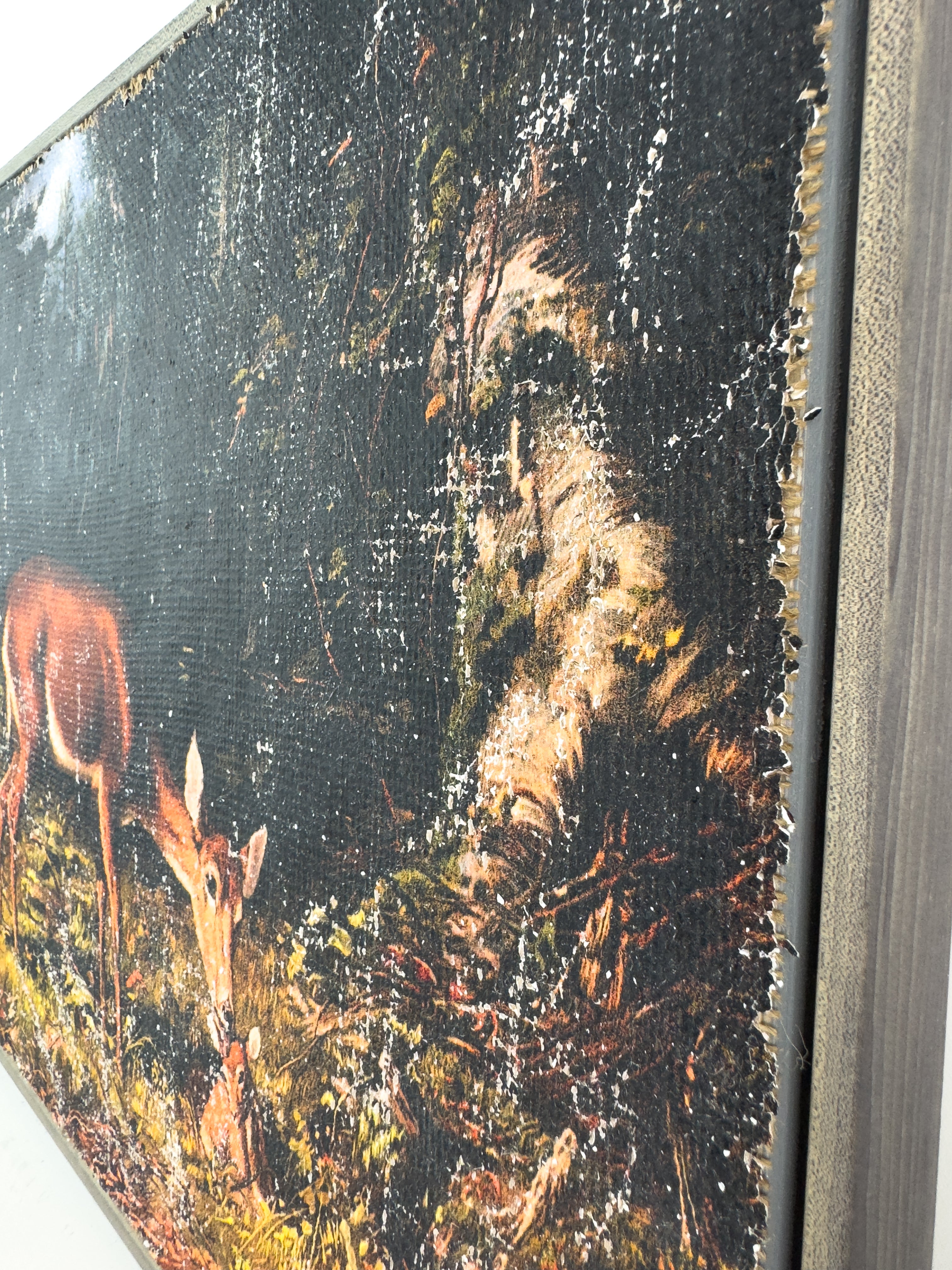 Mother and Fawn in Forest