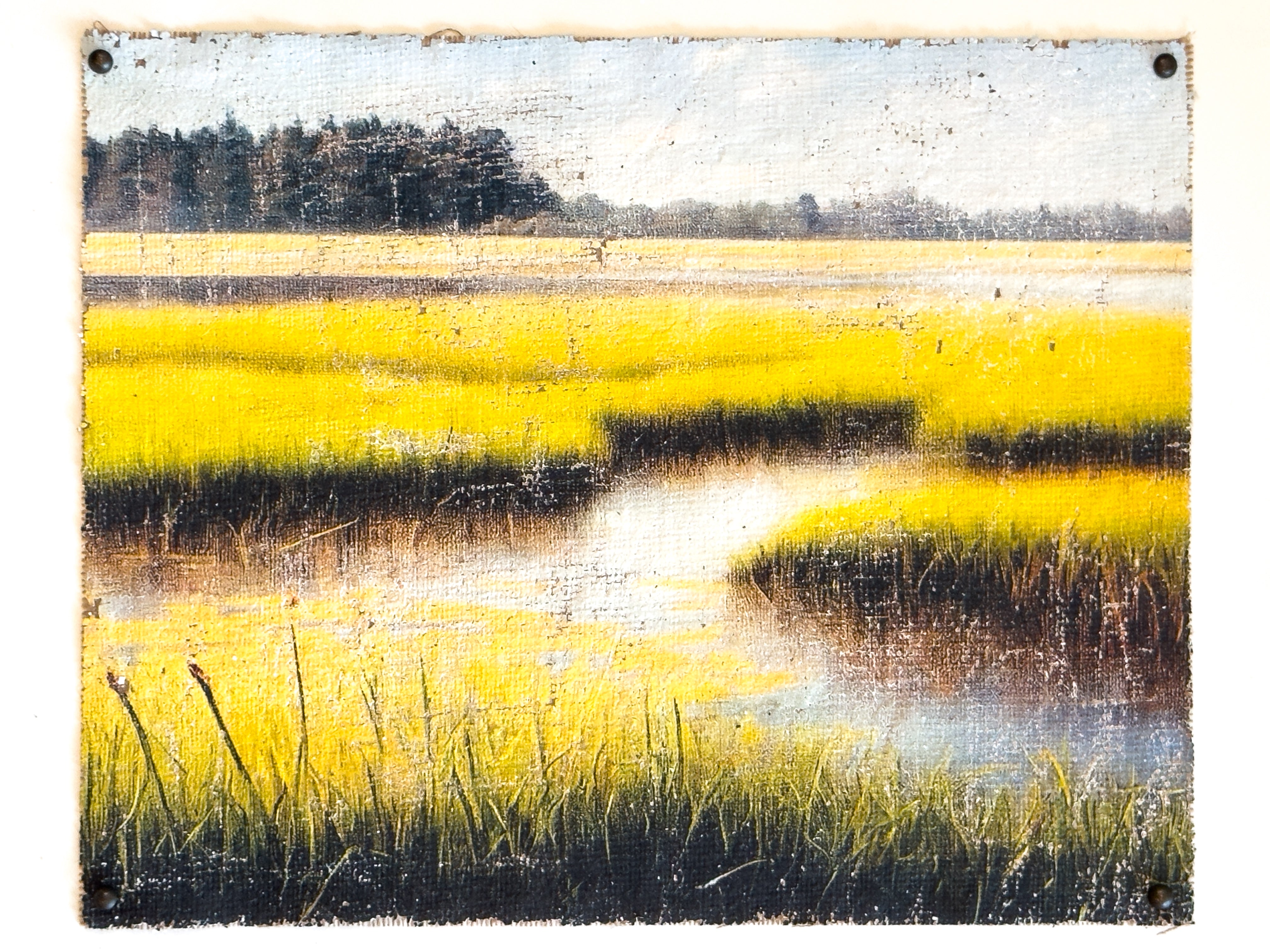 The Magic of the Marsh