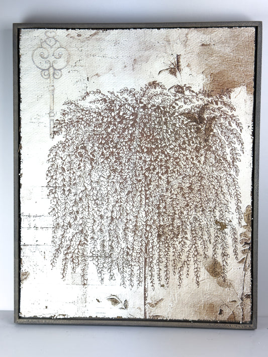 Weeping Willow - Branches of Fate