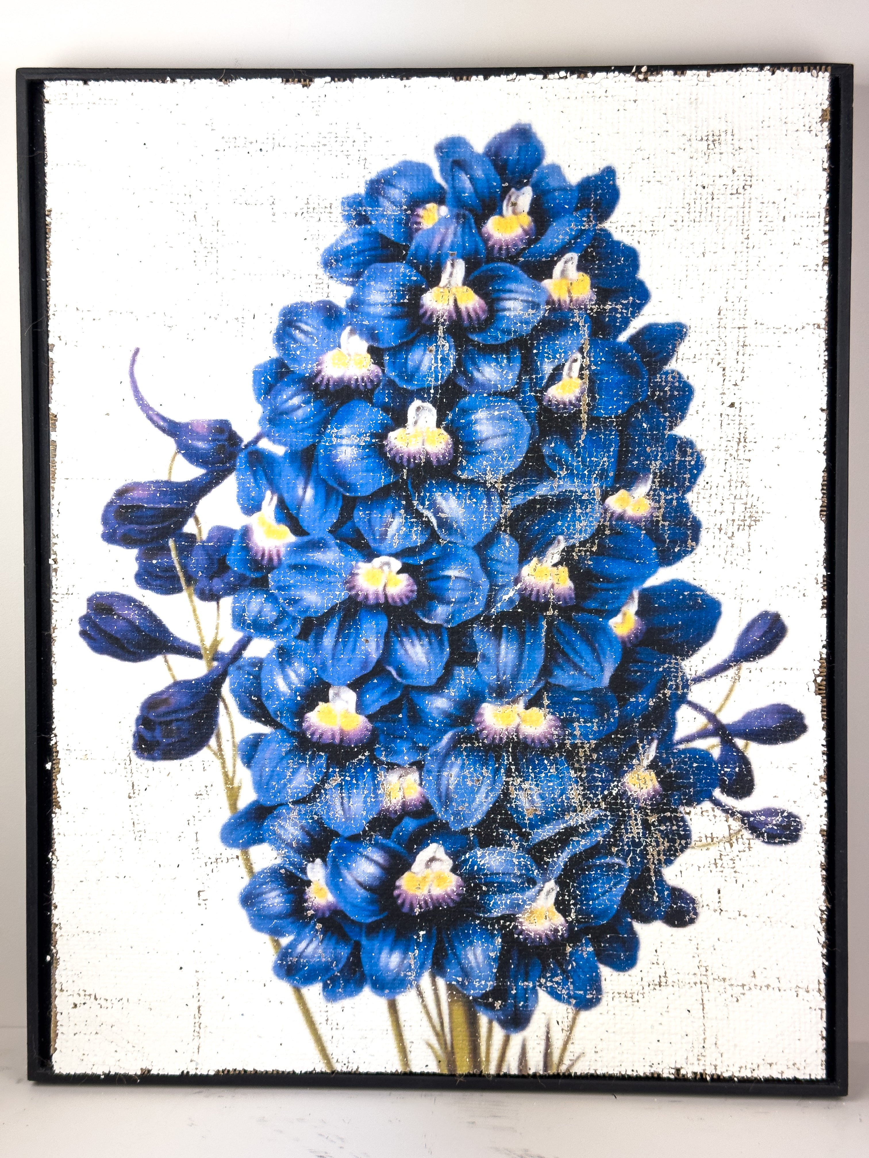 Blue Flowers of Radiance