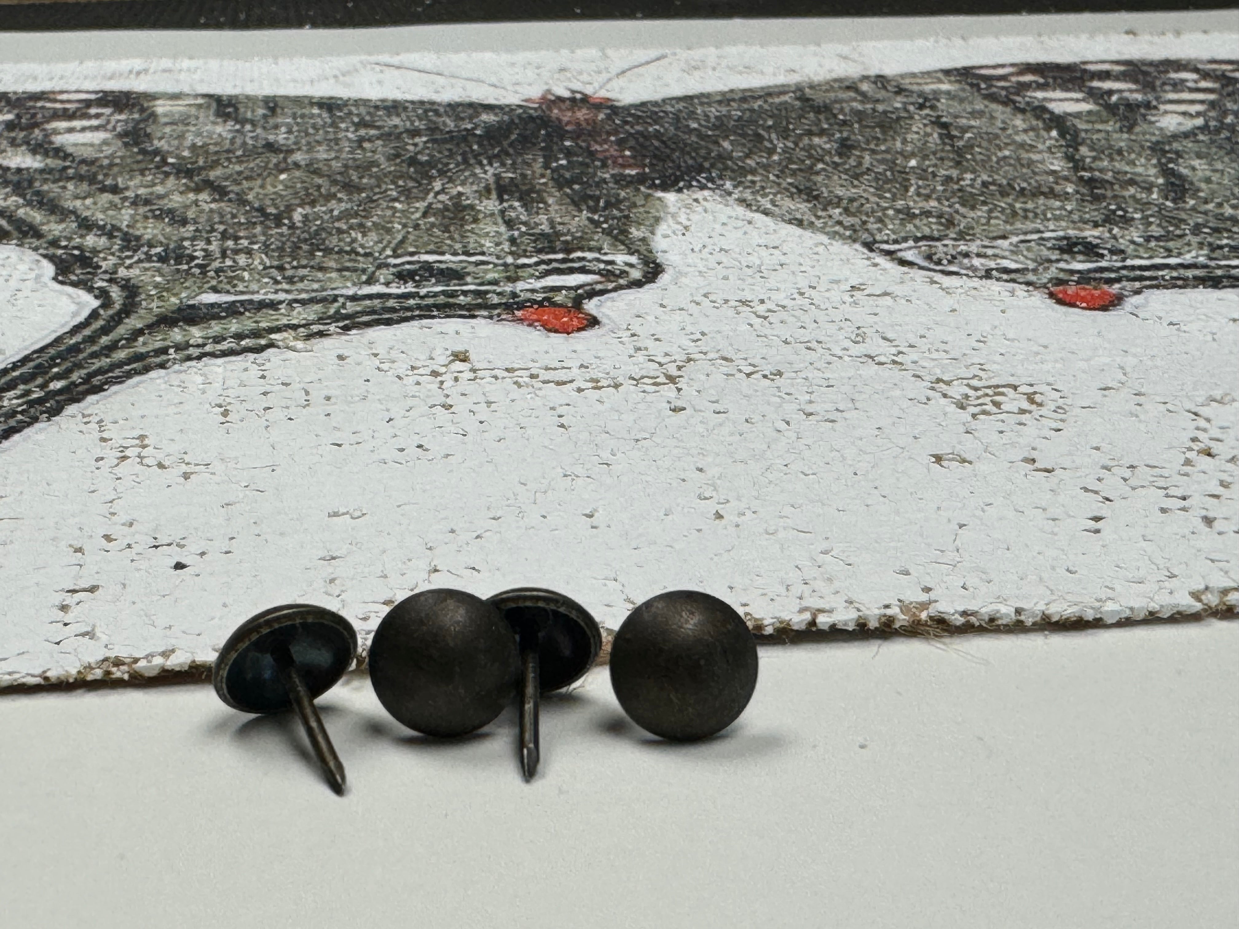 Green Swordtail Butterfly