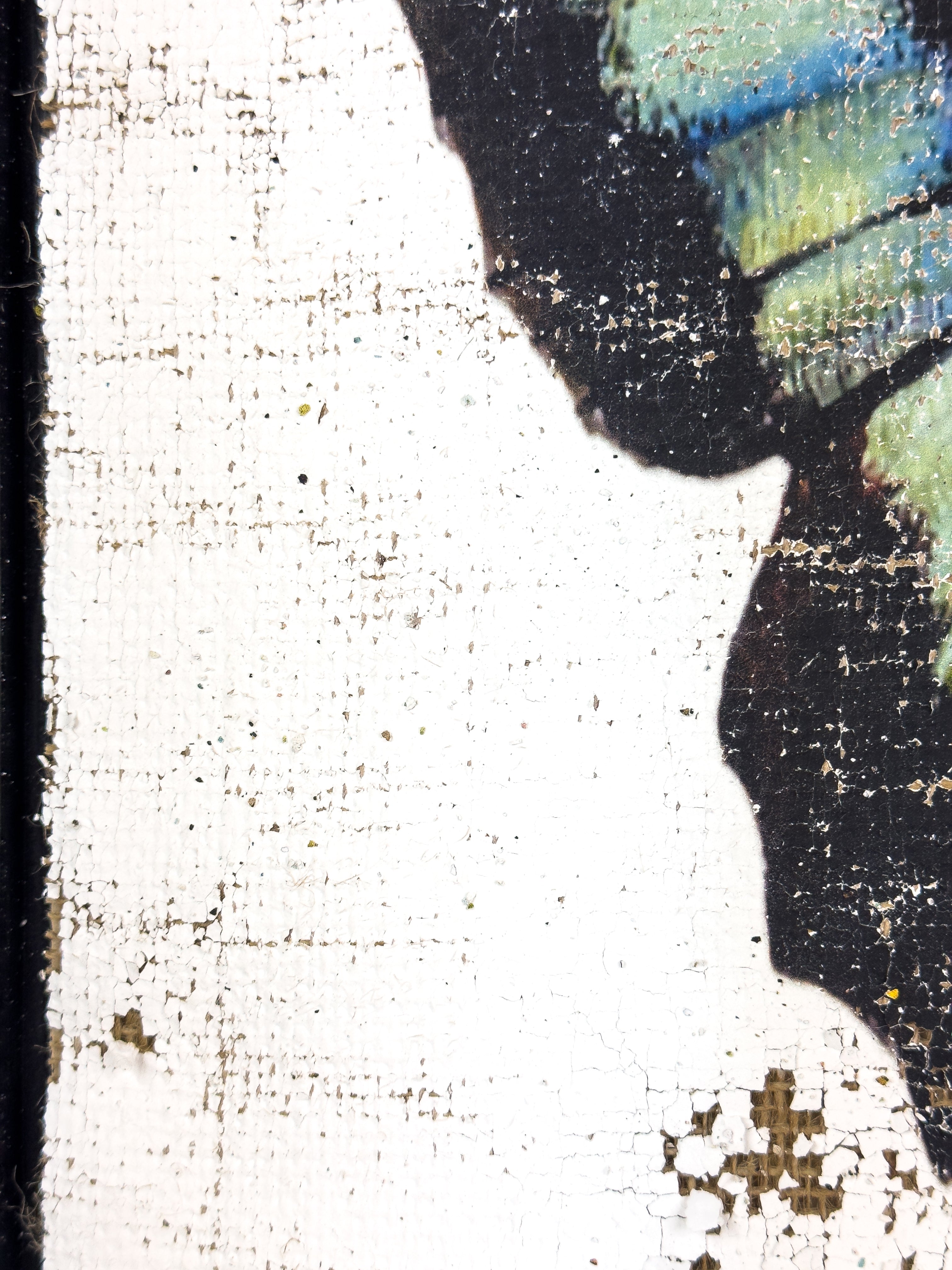 Blue Green Butterfly