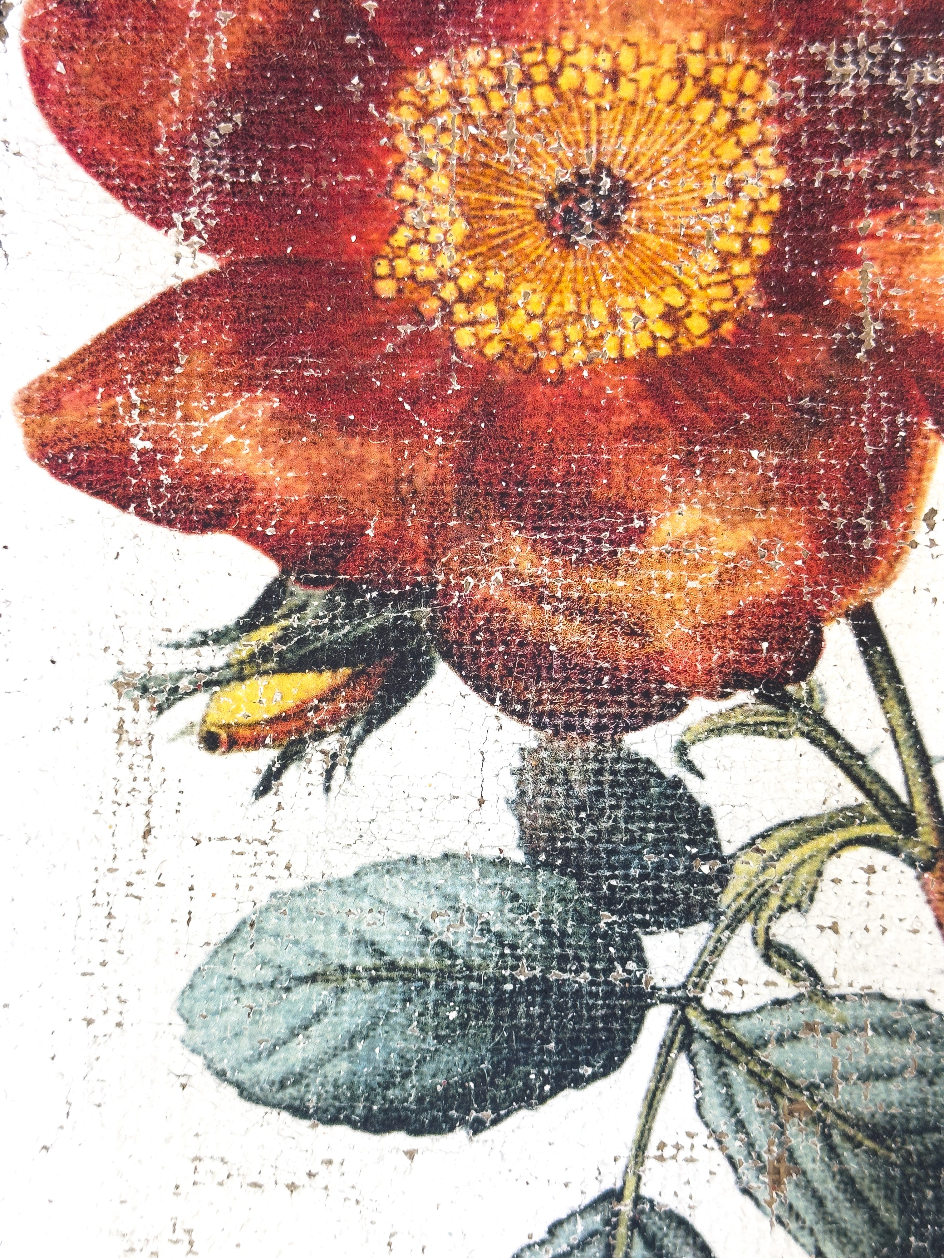 Red and Yellow Roses