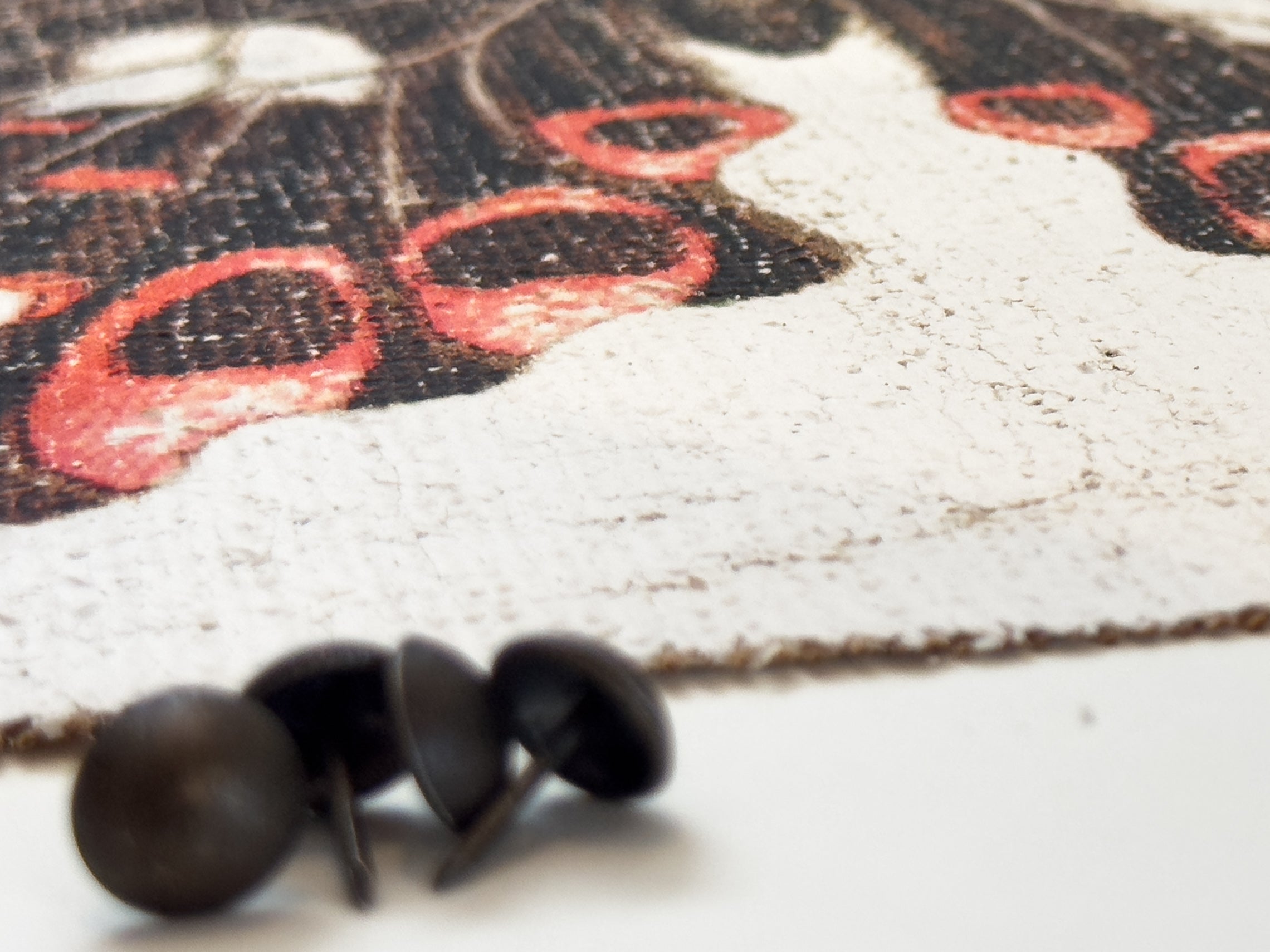 Swallowtail butterfly