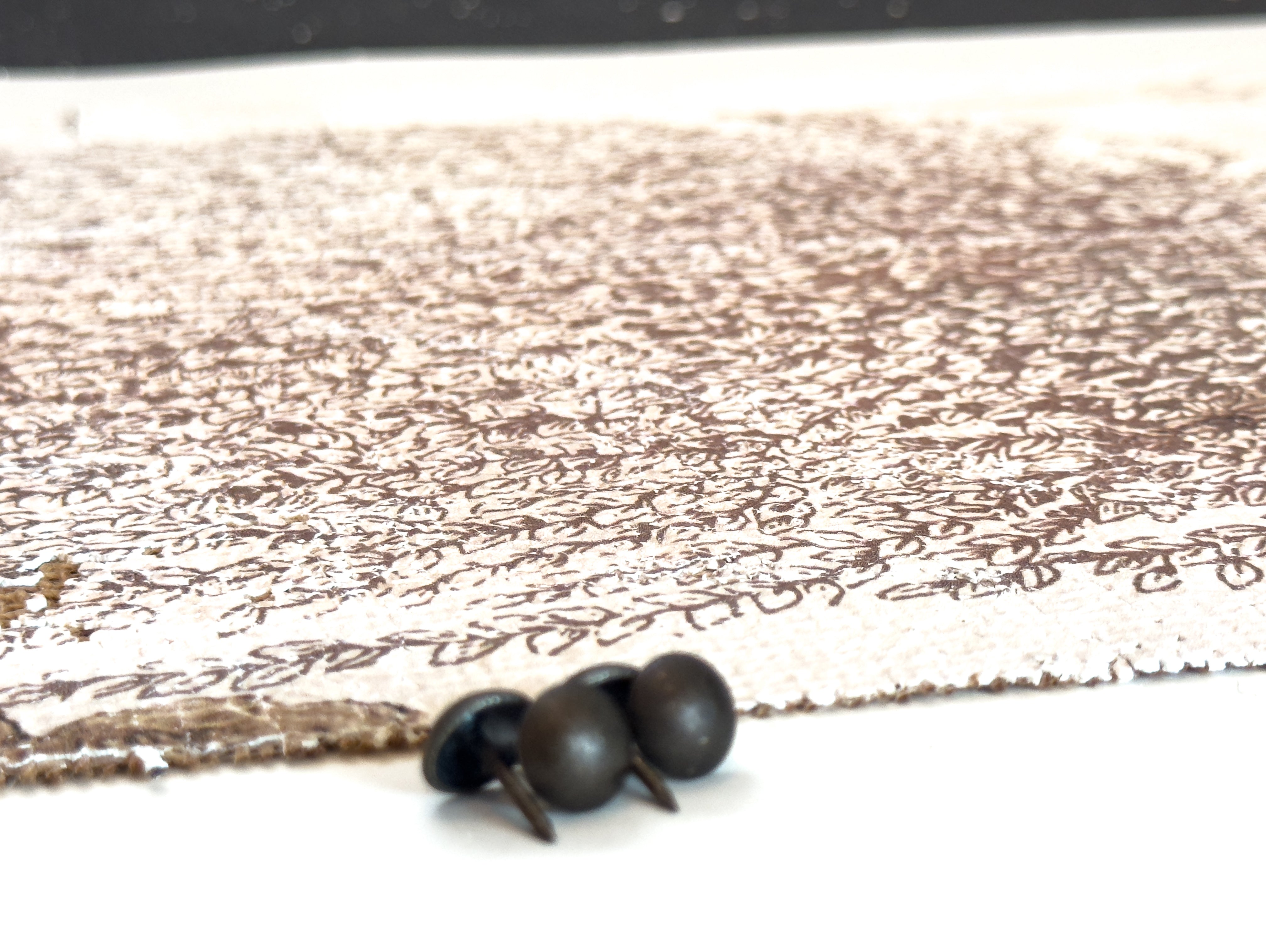 Weeping Willow - Branches of Fate