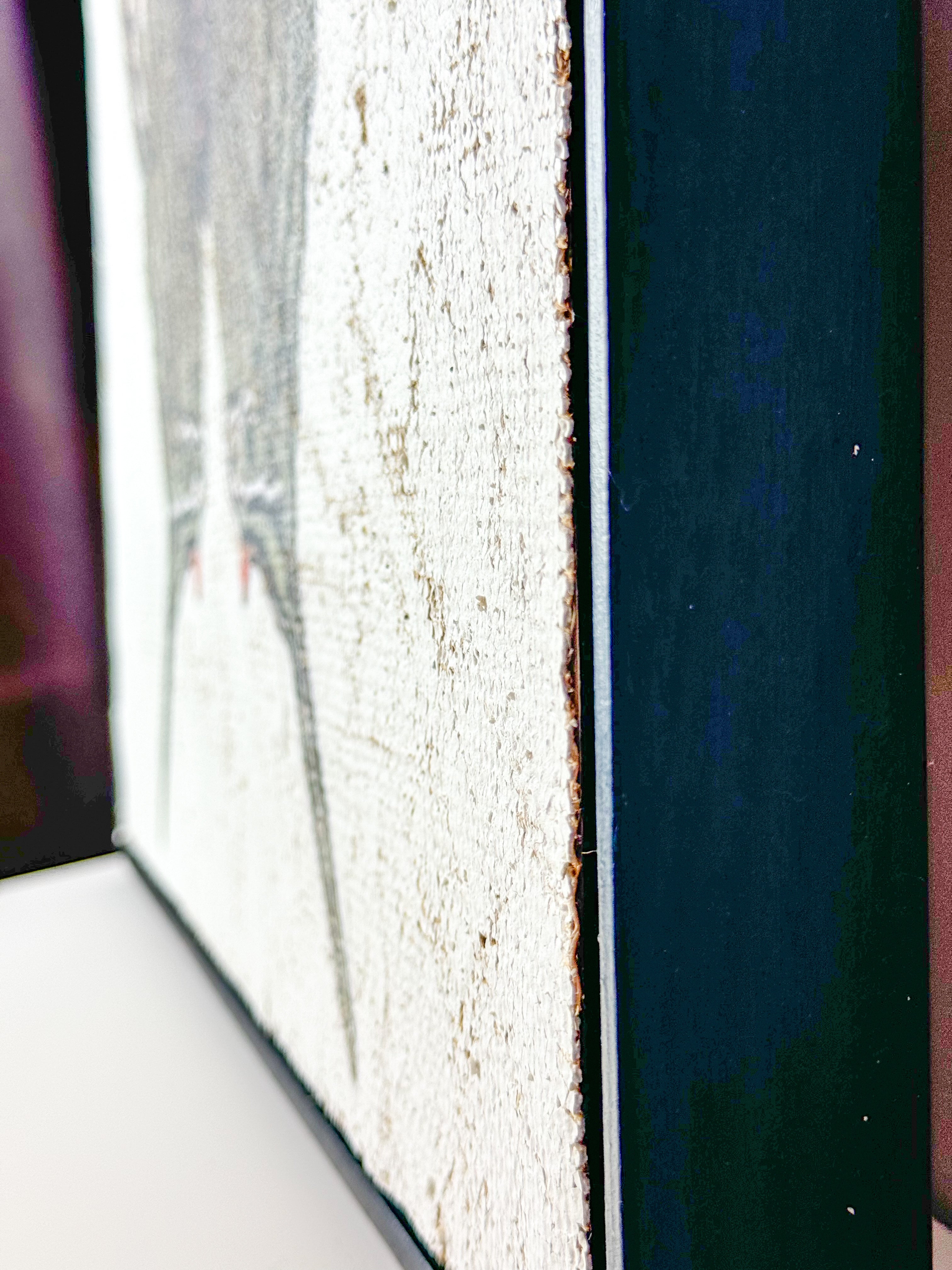 Green Swordtail Butterfly