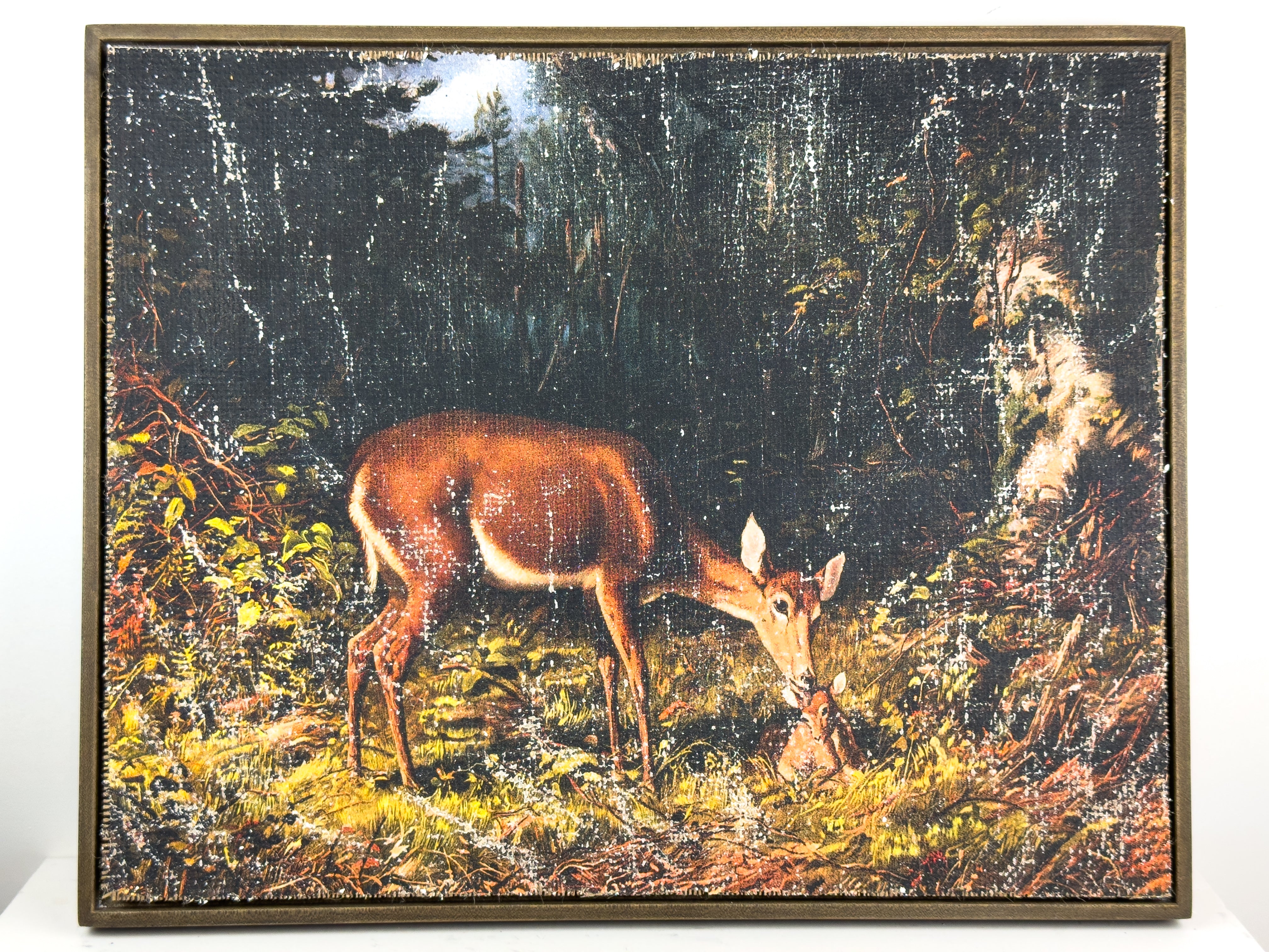 Mother and Fawn in Forest