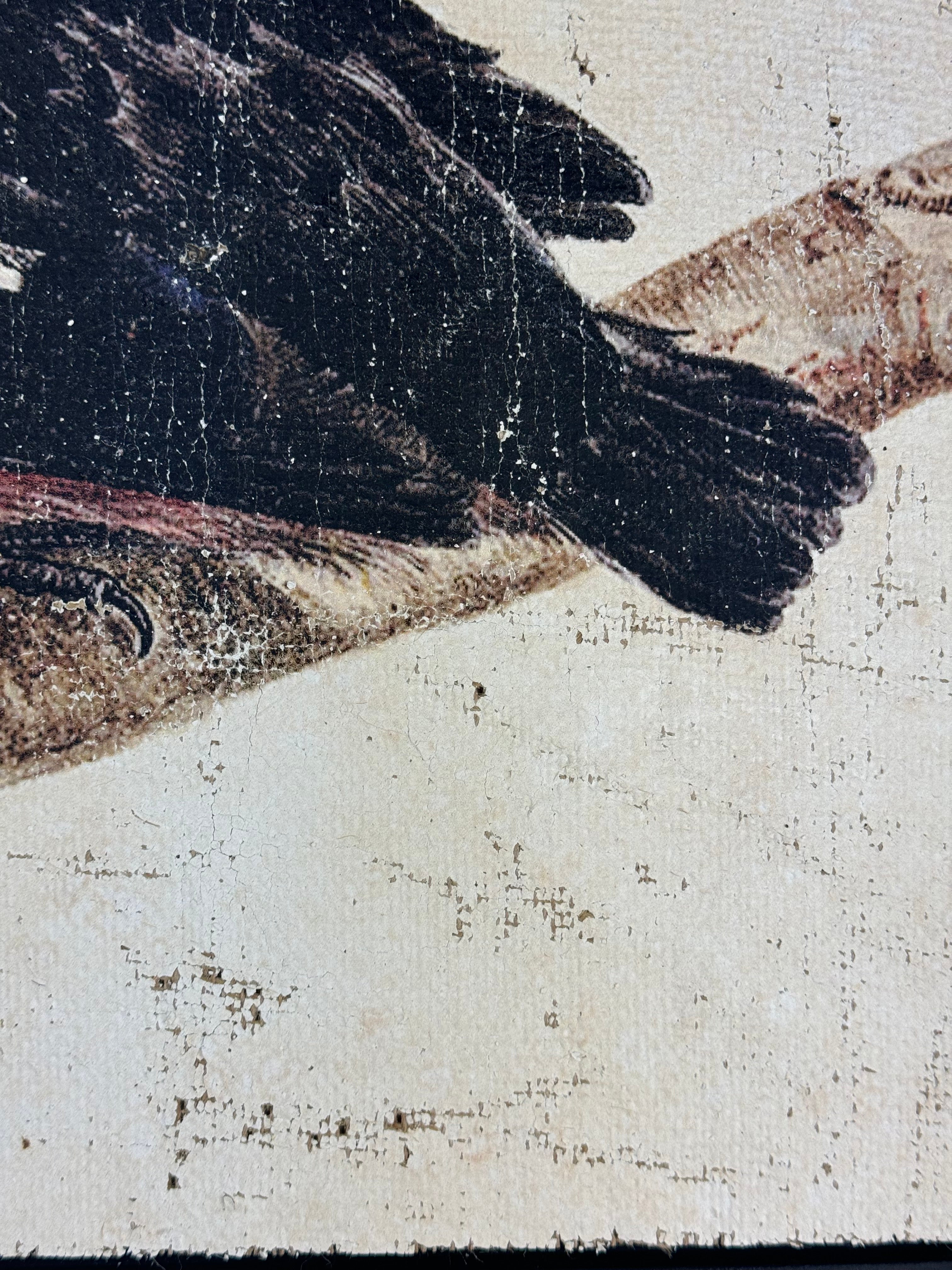 Red and Black Bird - Crimson Perch