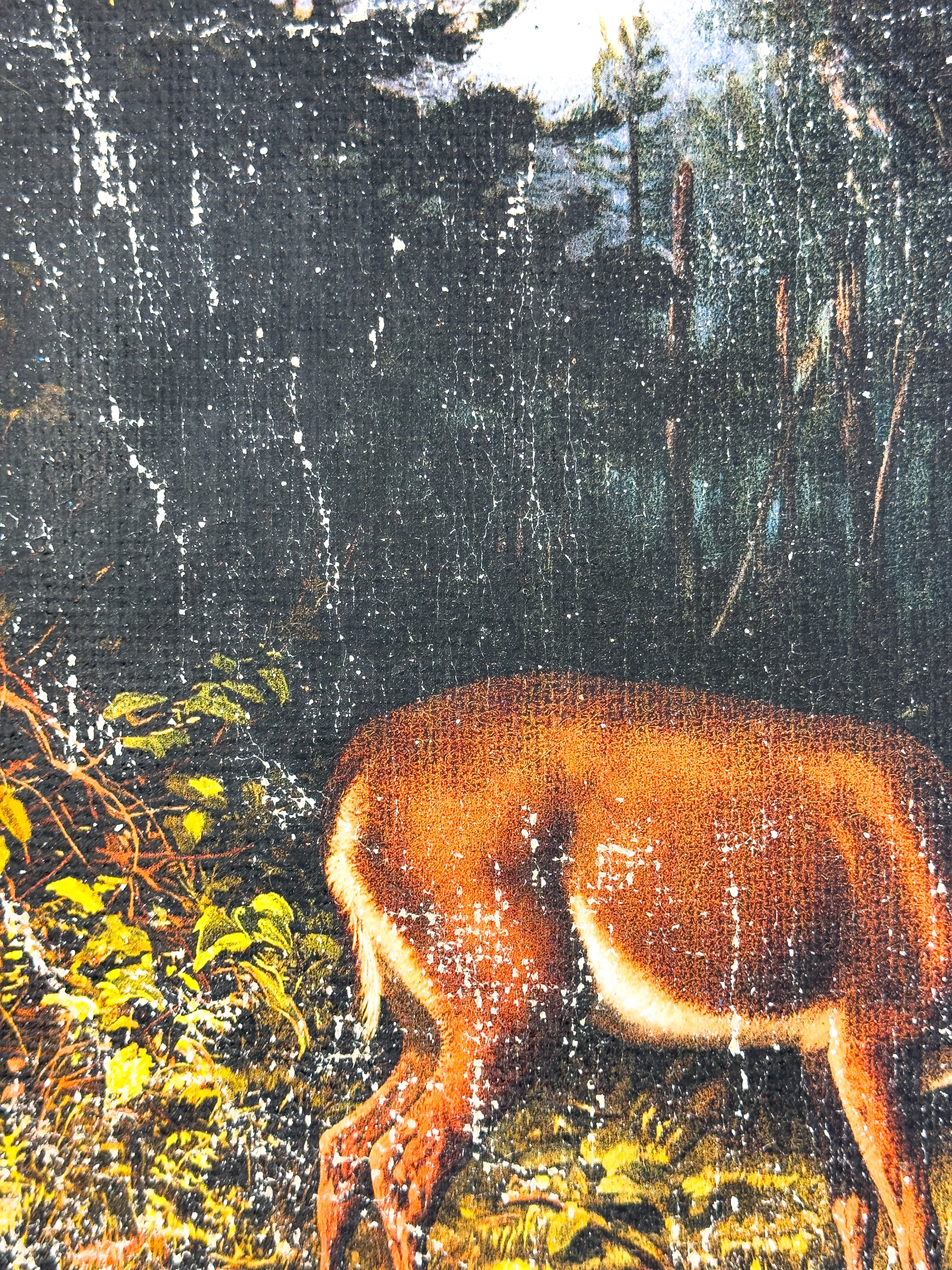 Mother and Fawn in Forest