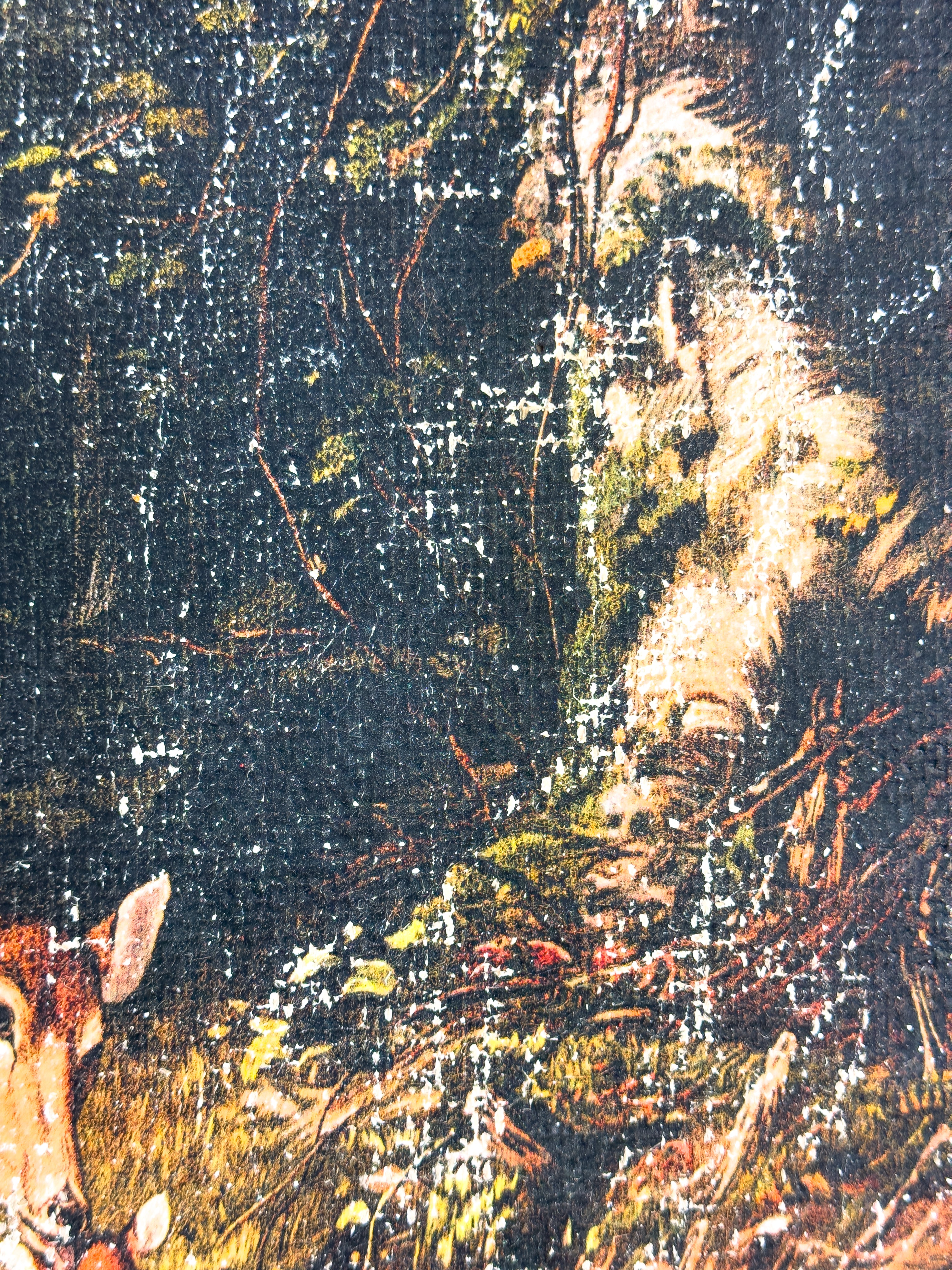 Mother and Fawn in Forest