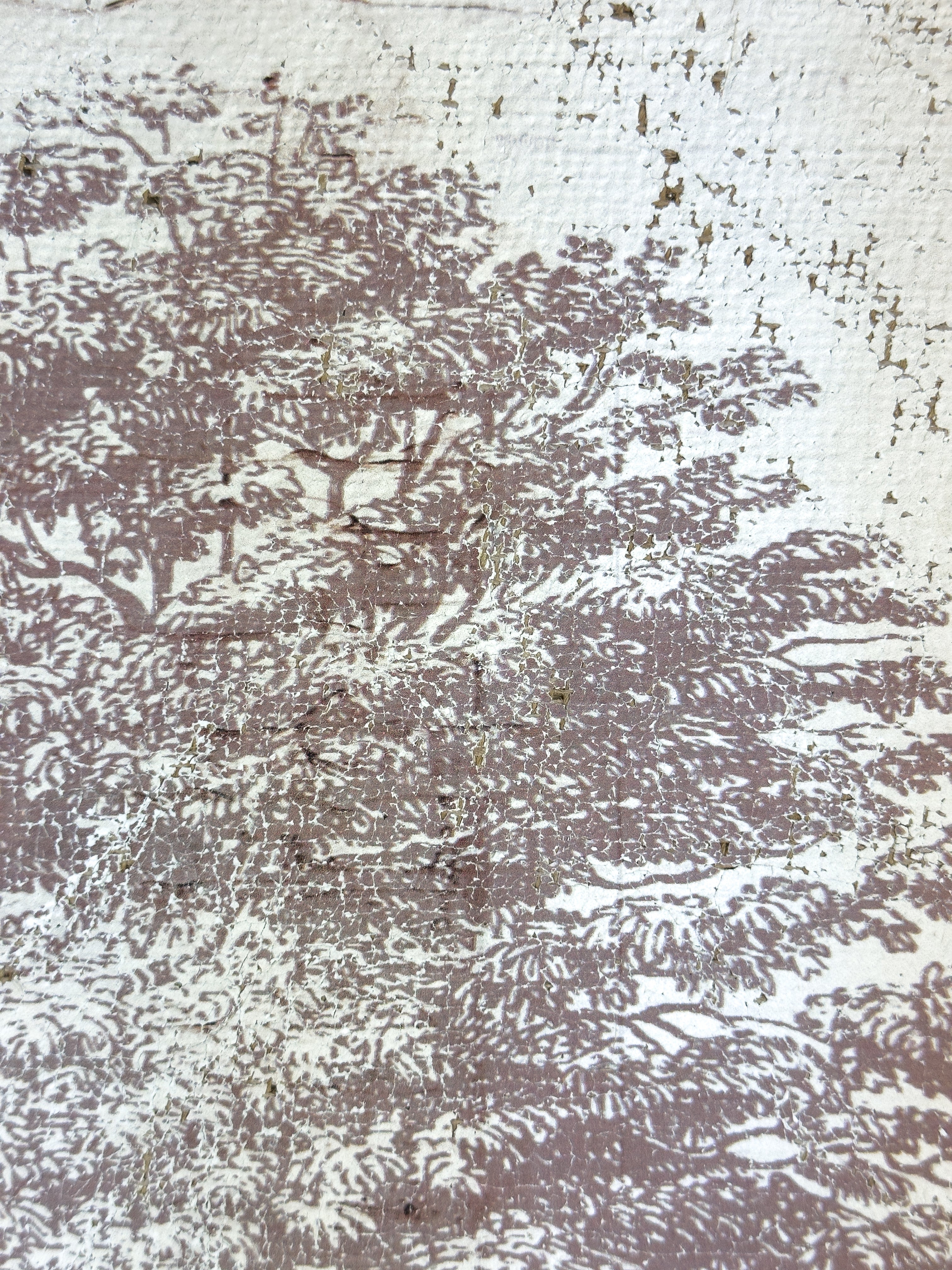 Vintage Ash Tree - Beneath the Ash