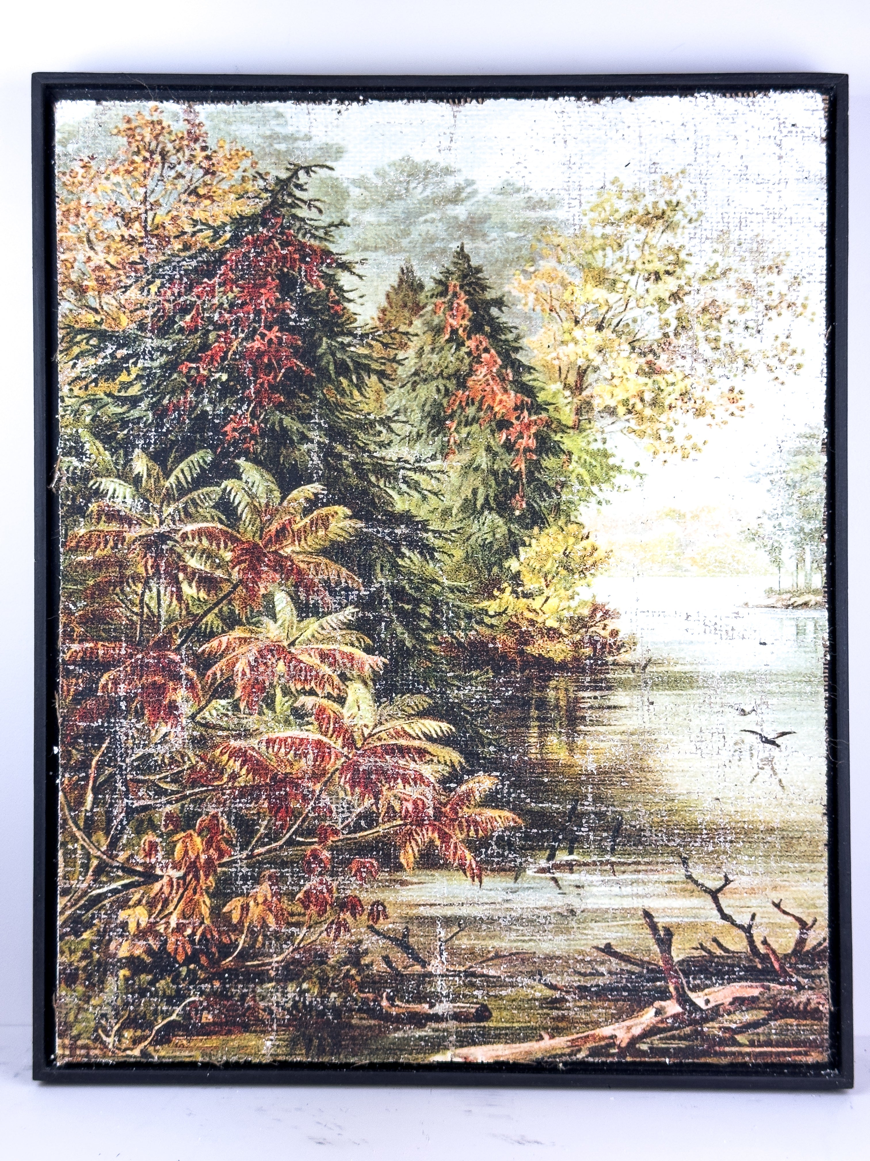 Vintage Fall Color - Changing Seasons
