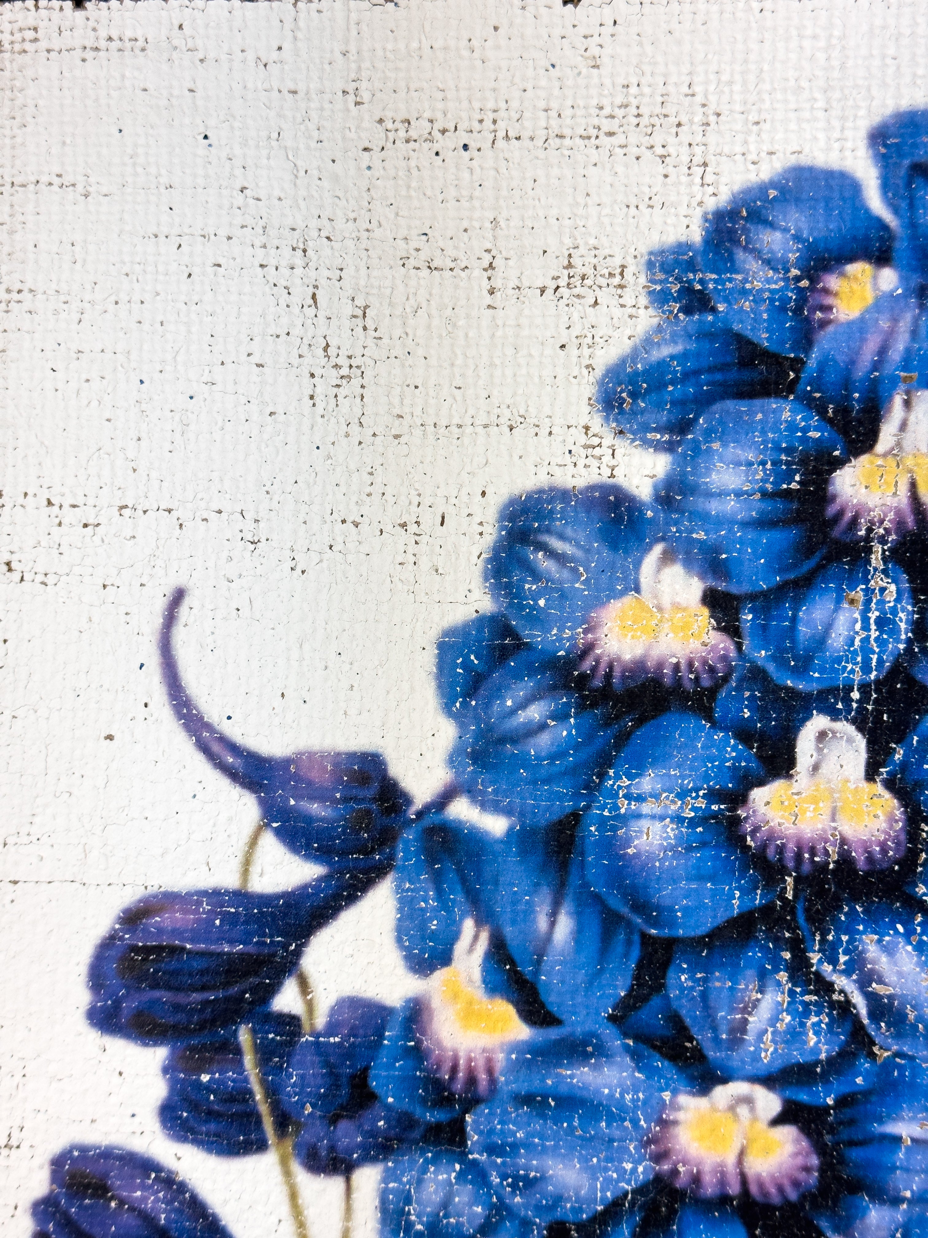 Blue Flowers of Radiance