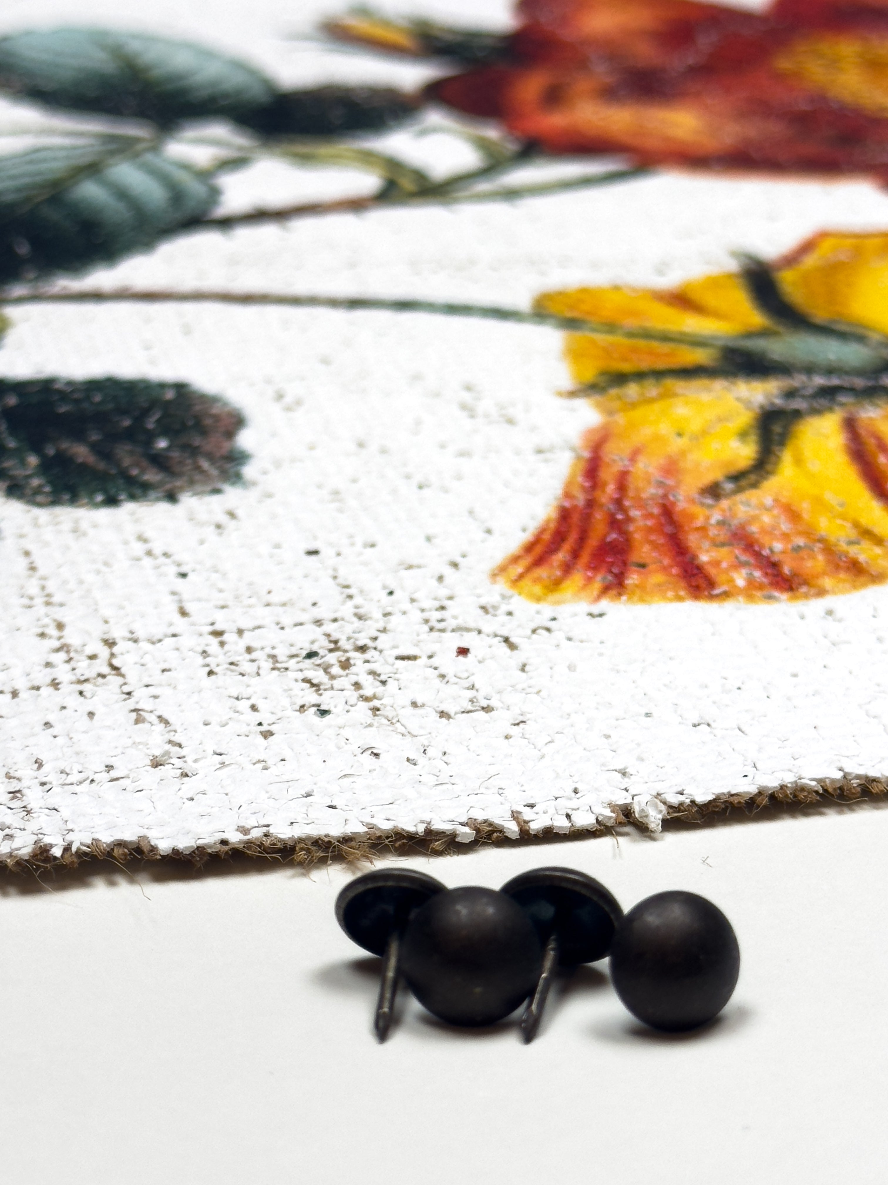 Red and Yellow Roses